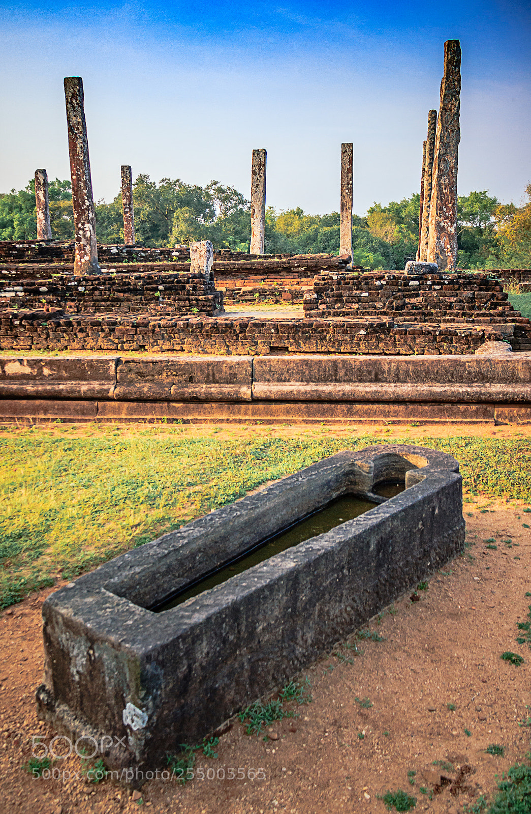 Canon EOS 600D (Rebel EOS T3i / EOS Kiss X5) sample photo. Medicine bath, medirigiriya photography