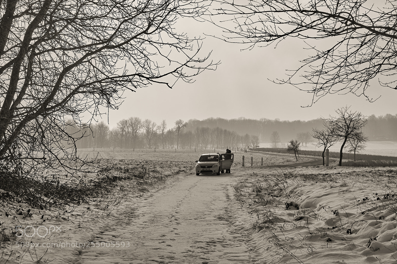 Fujifilm X-T1 sample photo. Untitled photography