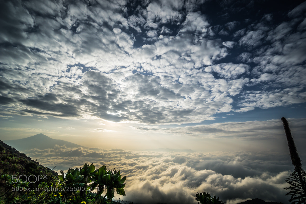 Sony a5100 sample photo. Nyiragongo (drc & rwanda) photography