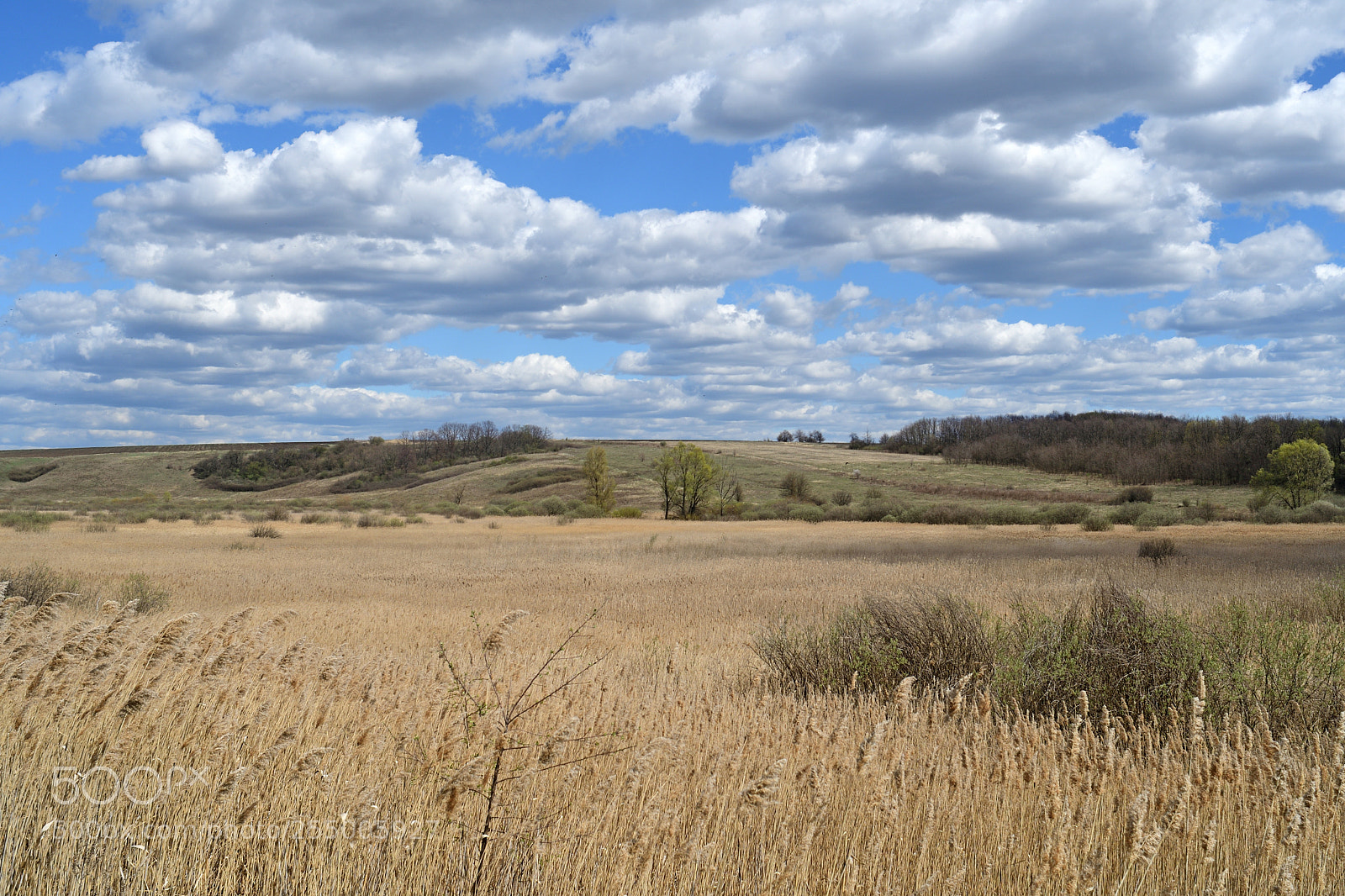 Nikon D7500 sample photo. Spring clouds photography