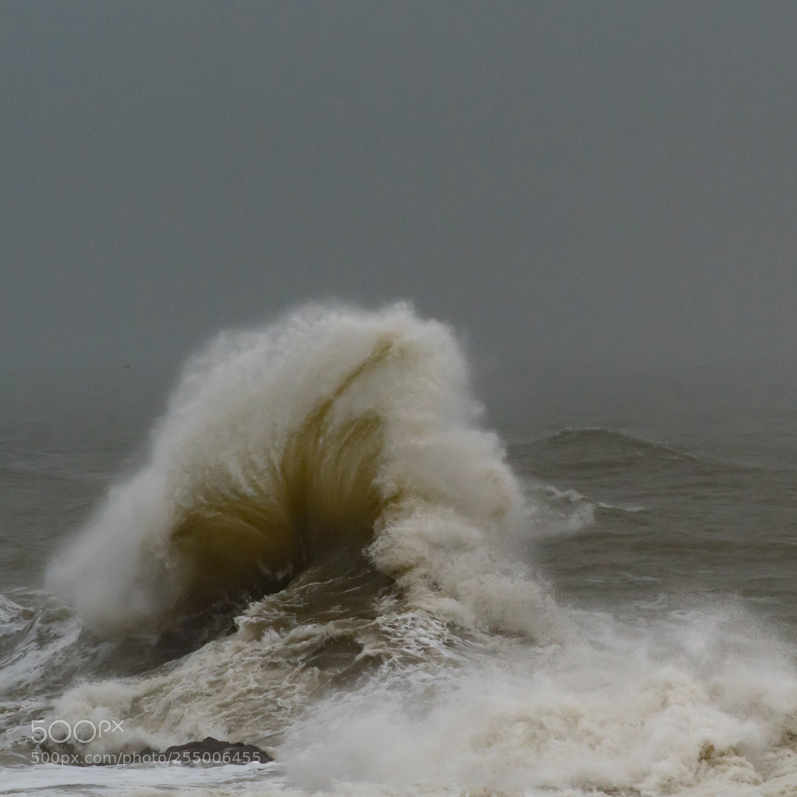 Pentax K-1 sample photo. L'oreille de la mer photography