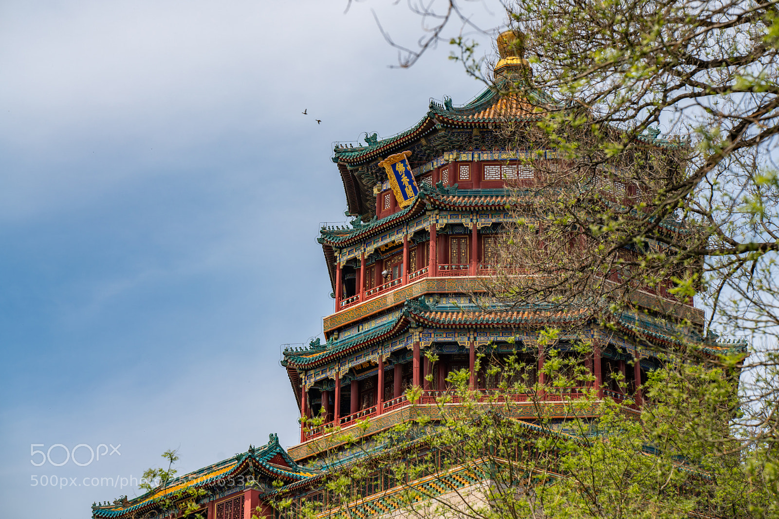 Sony a7R III sample photo. Summer palace photography