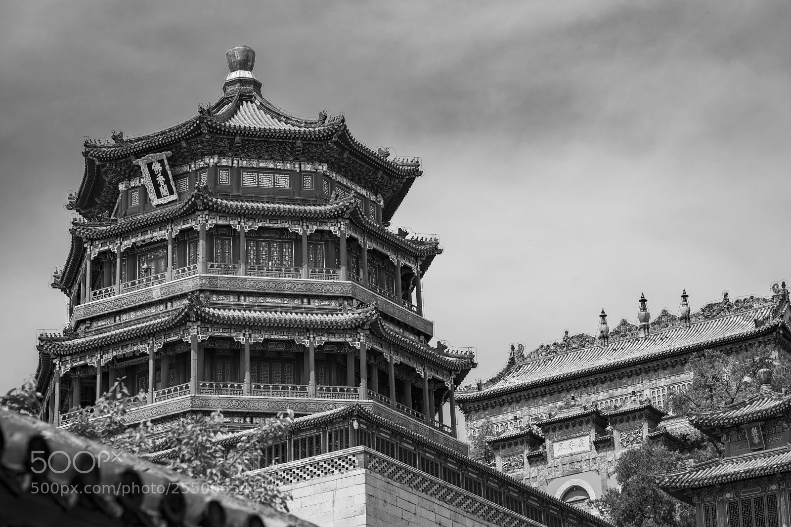 Sony a7R III sample photo. Summer palace photography