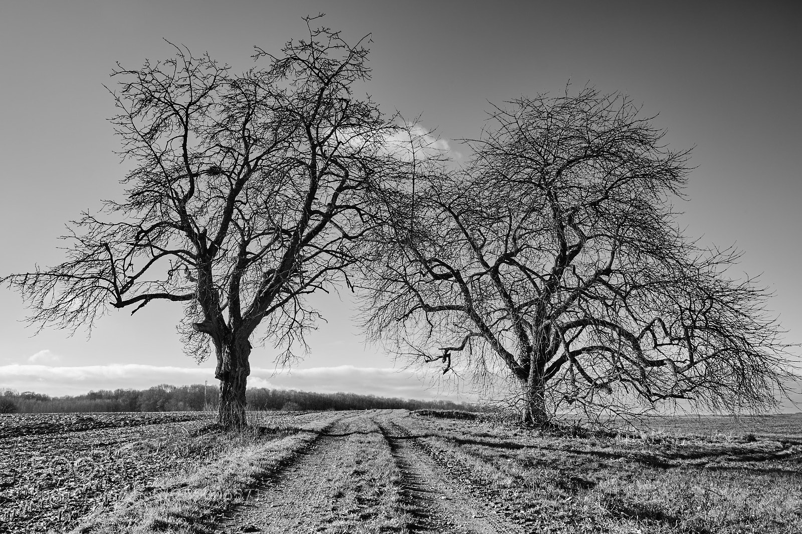 Fujifilm X-T1 sample photo. Untitled photography