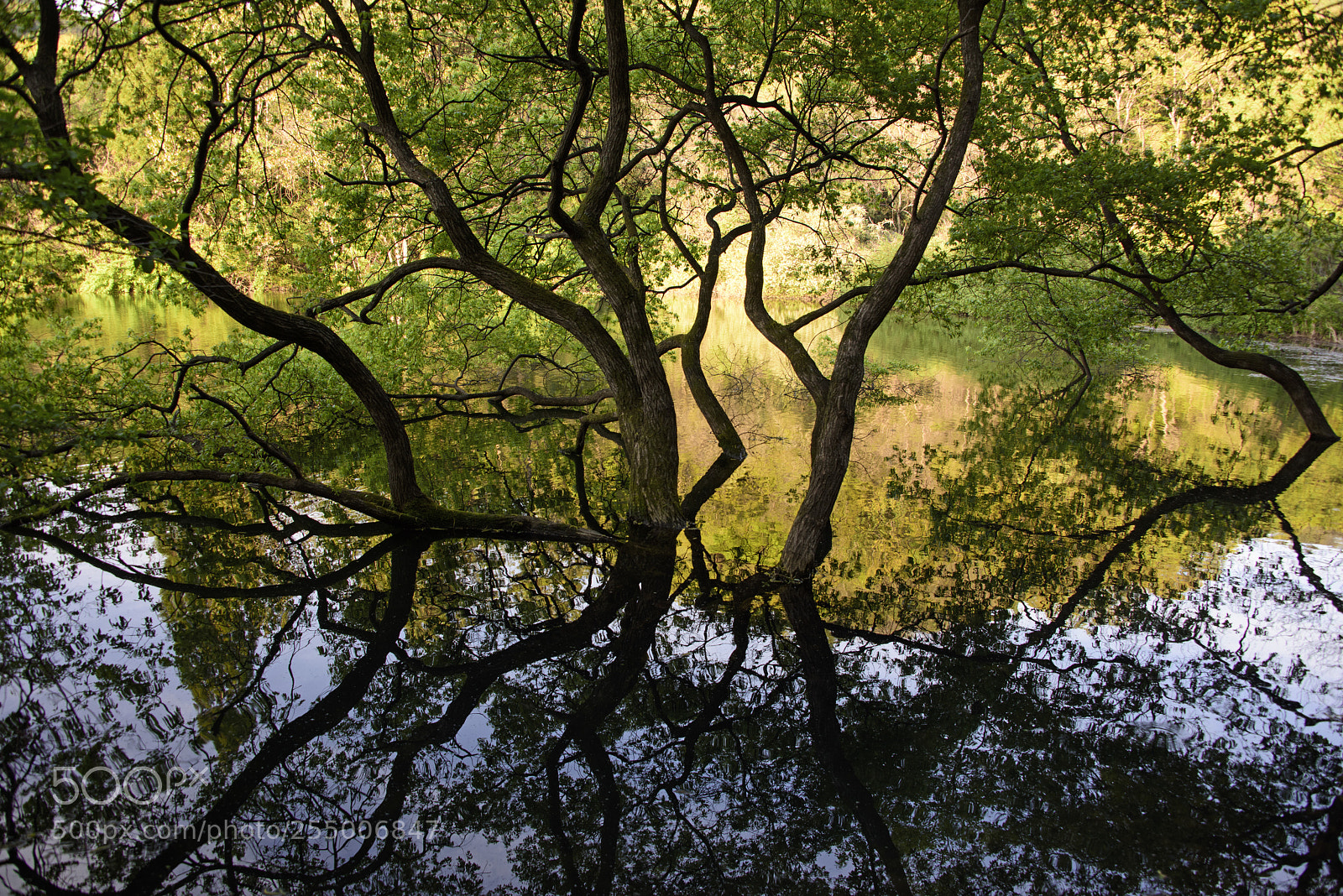 Nikon D810 sample photo. Reflection of time photography