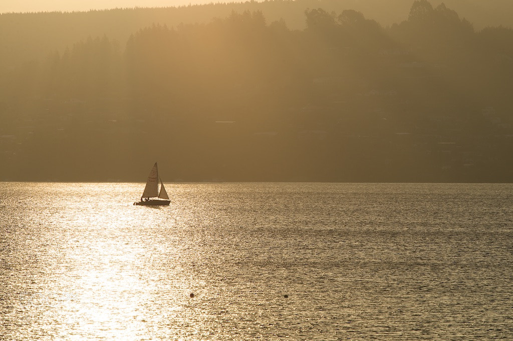 Nikon D600 sample photo. Yacht in gold photography