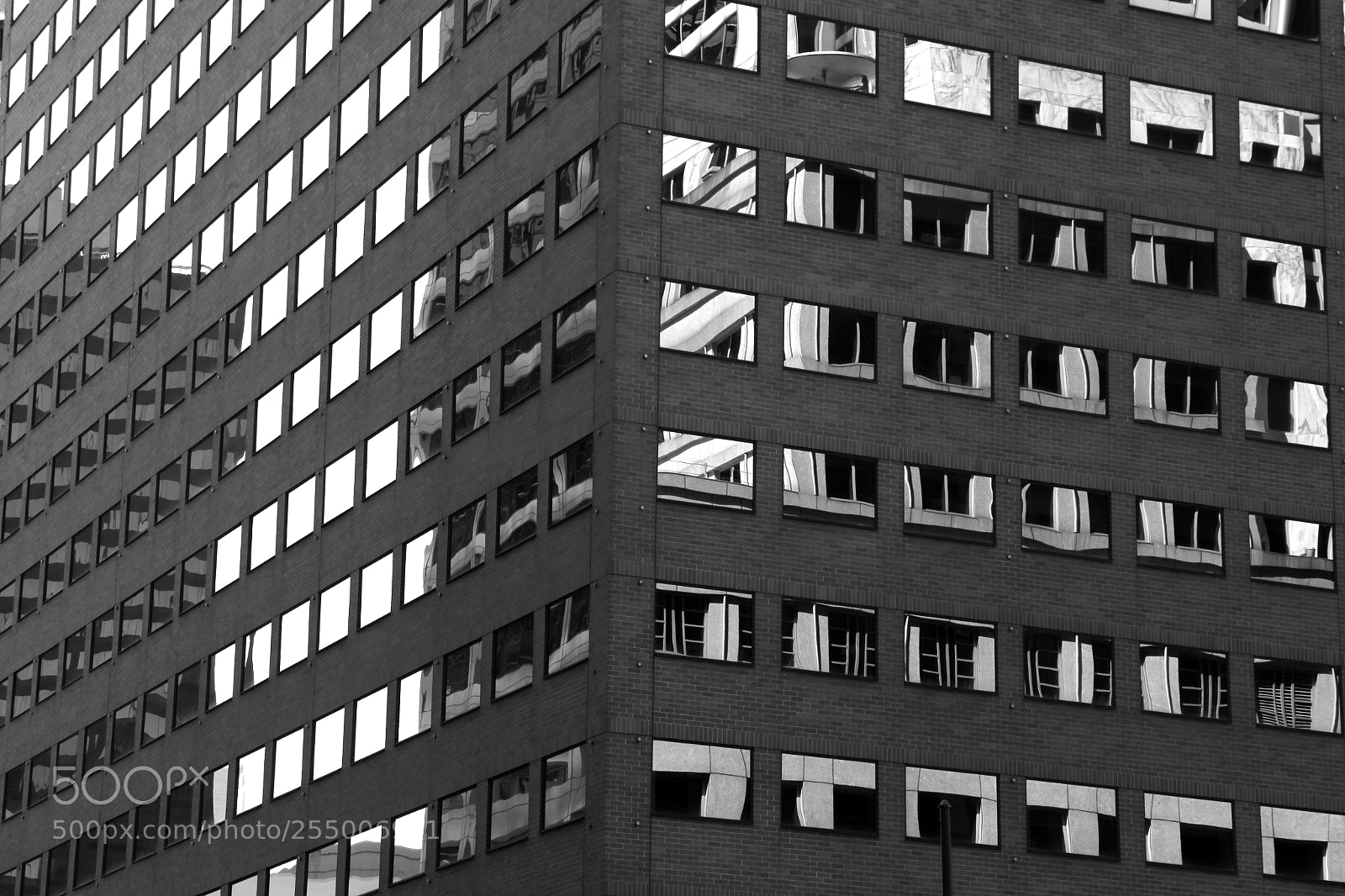 Canon EOS 60D sample photo. Black white photography