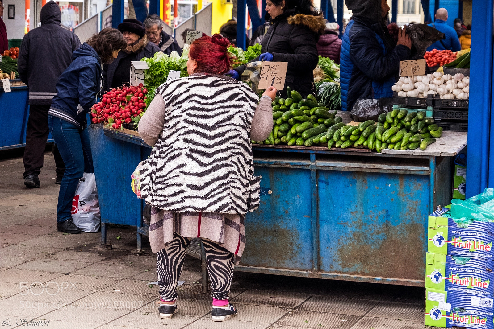 Fujifilm X-T1 sample photo. Vegetables with a zebra photography