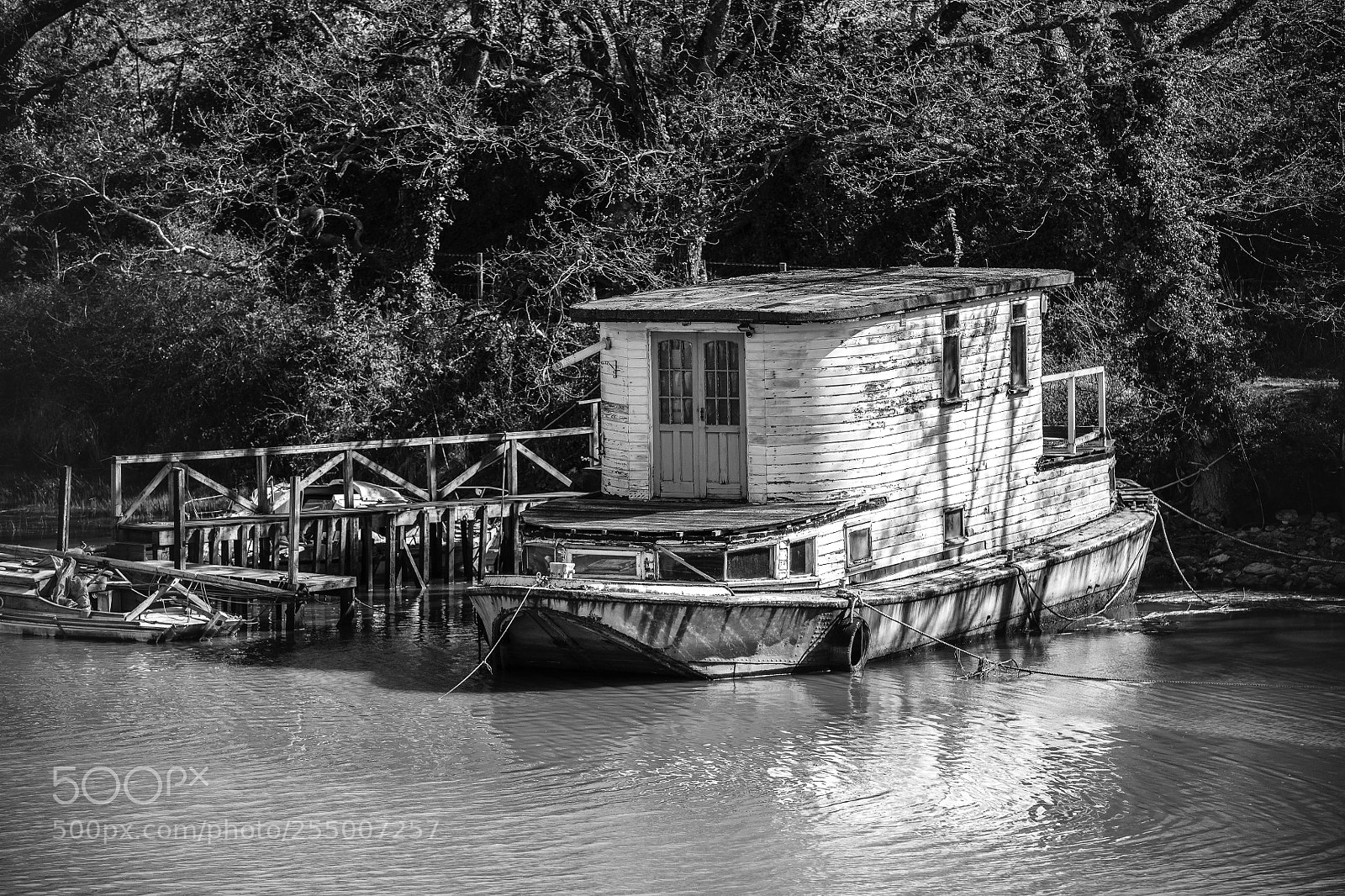 Canon EOS 5DS R sample photo. Untitled photography