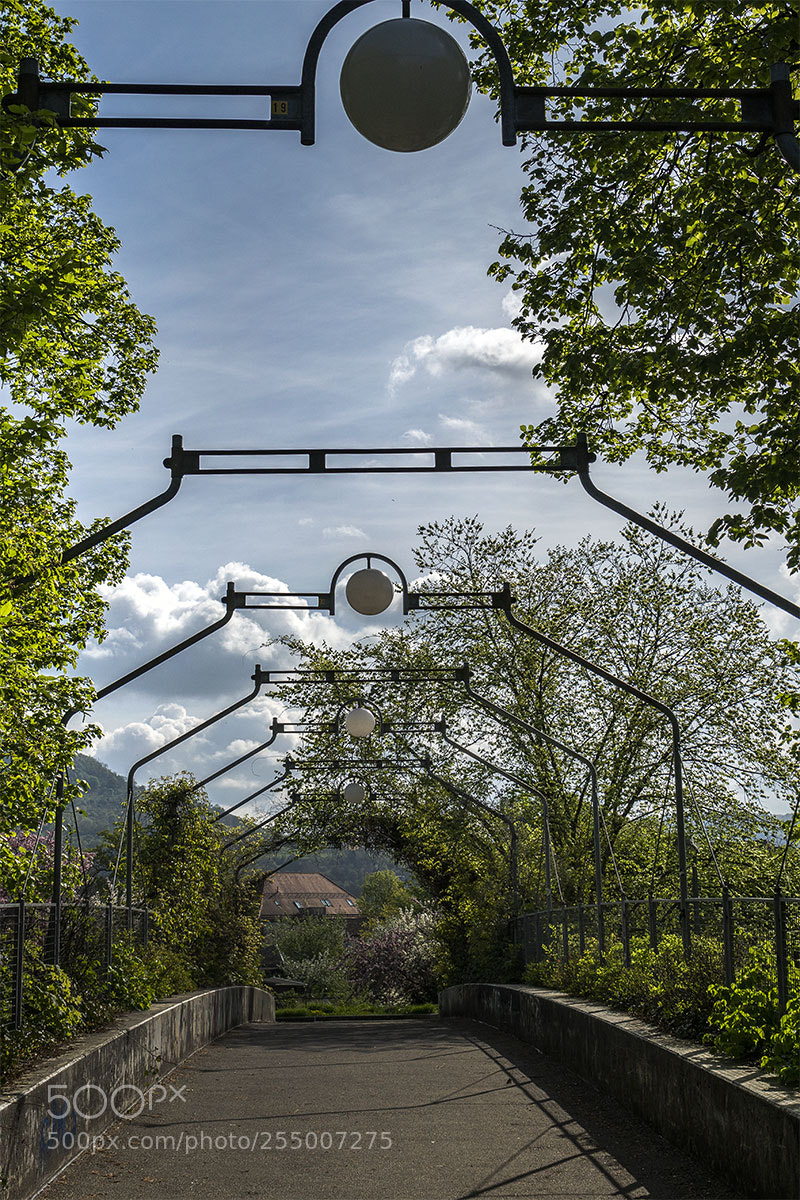 Sony a6300 sample photo. Reutlingen 240418-004 photography