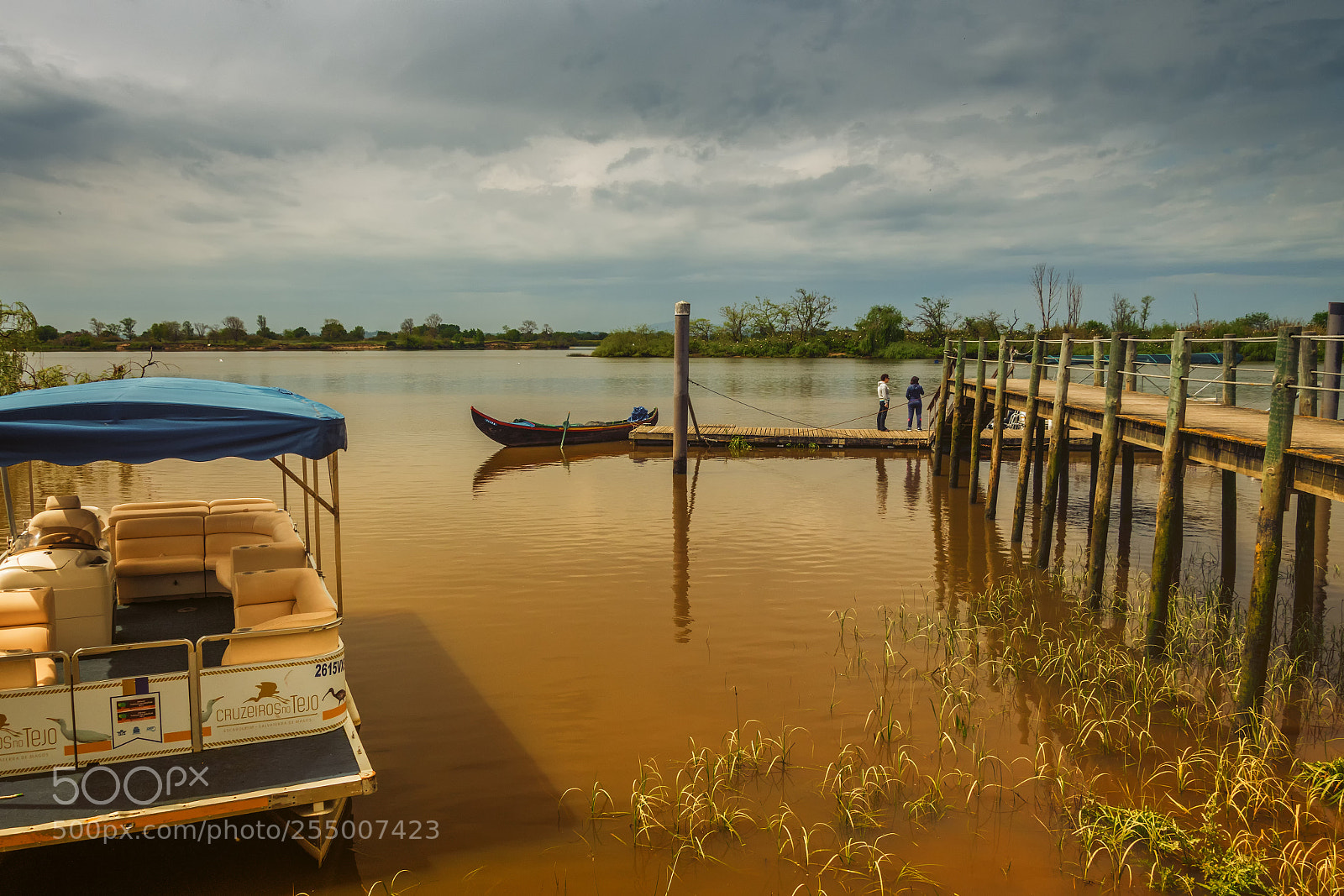 Nikon D500 sample photo. Escaroupim, rio tejo photography