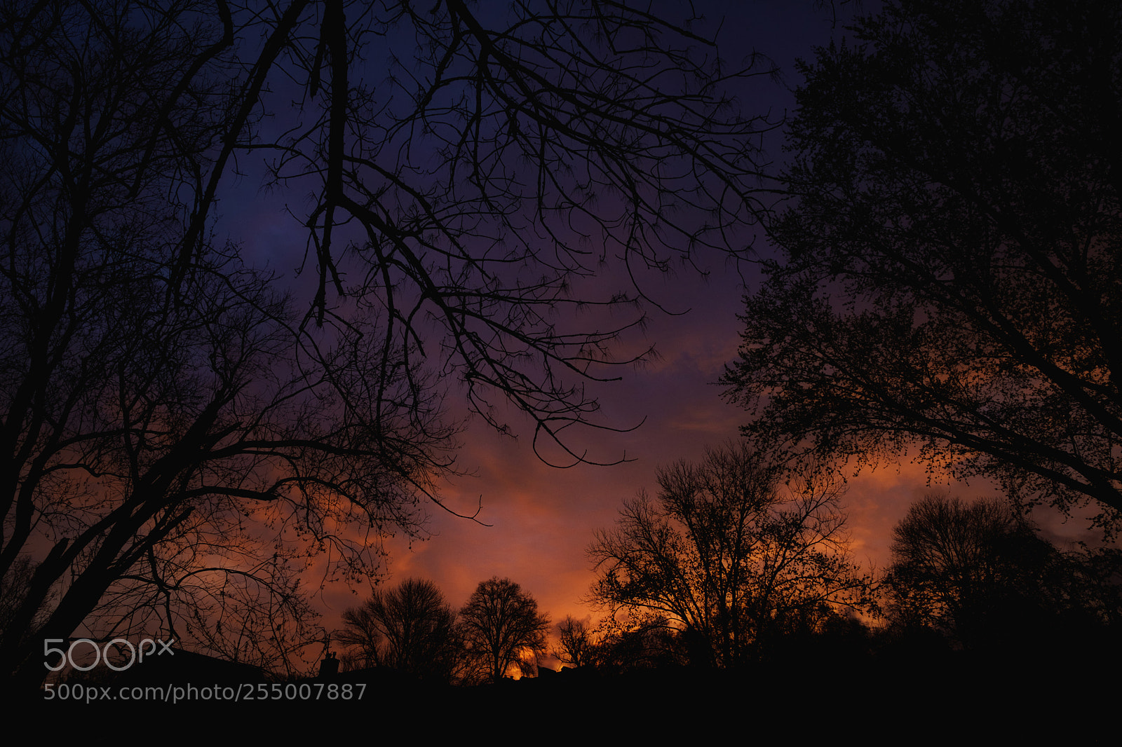 Fujifilm X-Pro2 sample photo. Oella dawn photography