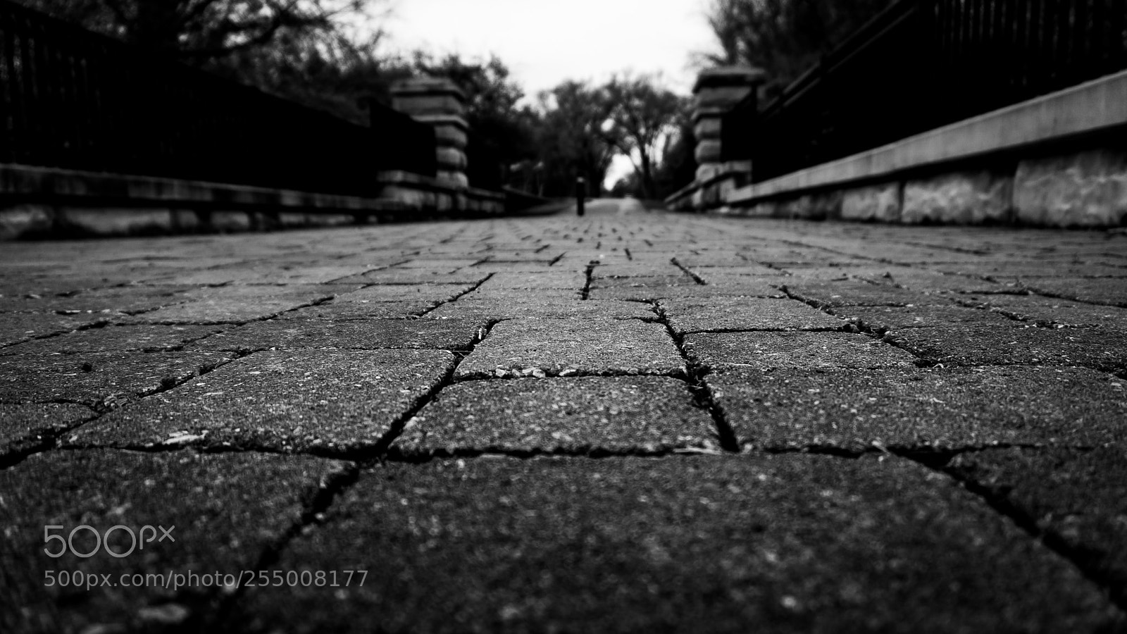 Sony a6000 sample photo. Focus on the path photography