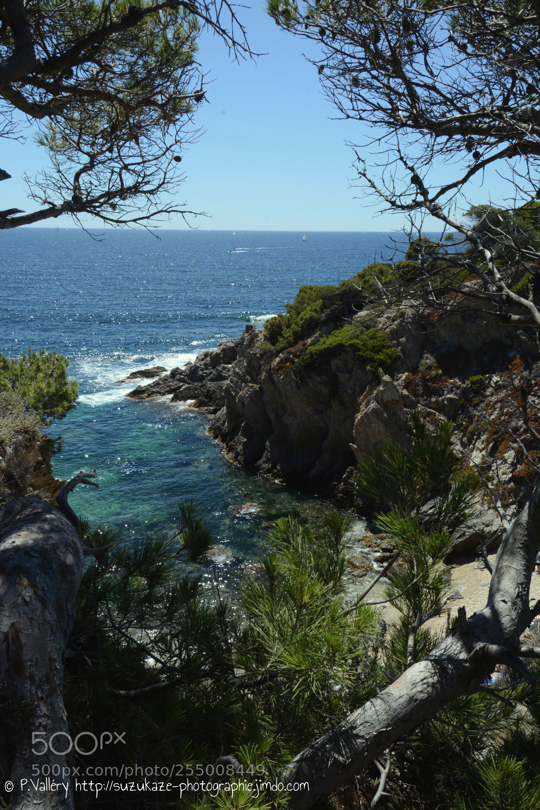 Nikon D7100 sample photo. Presqu' le de giens photography