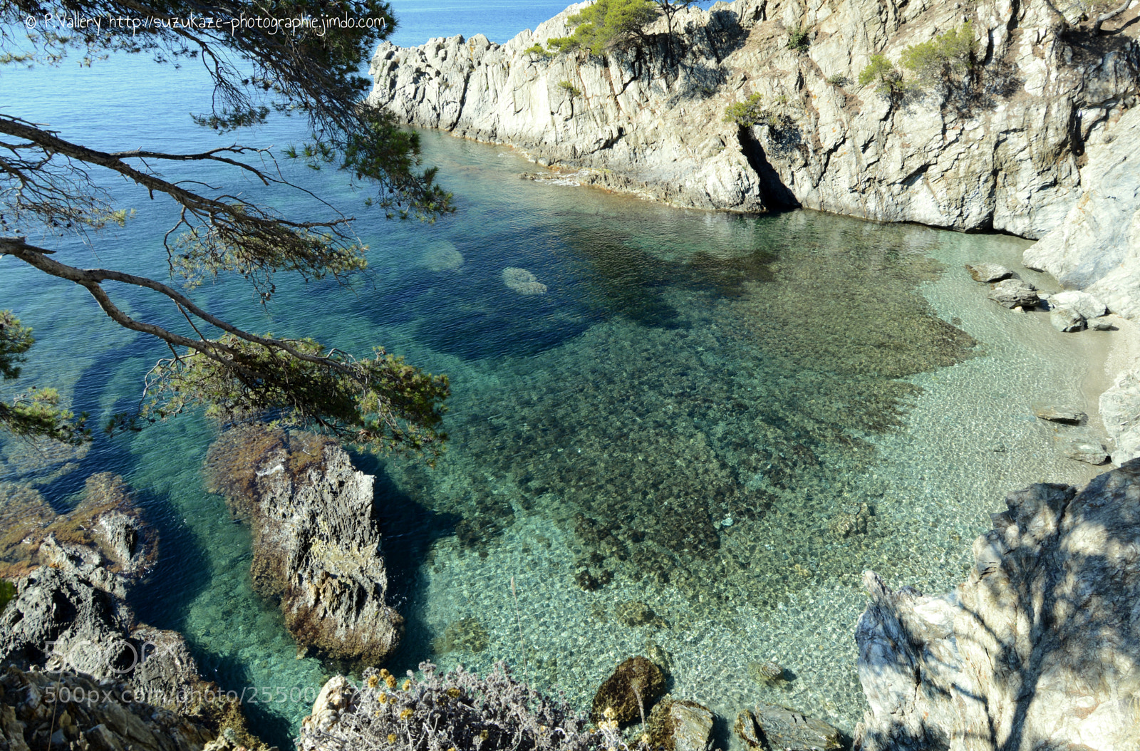 Nikon D7100 sample photo. Presqu' le de giens photography