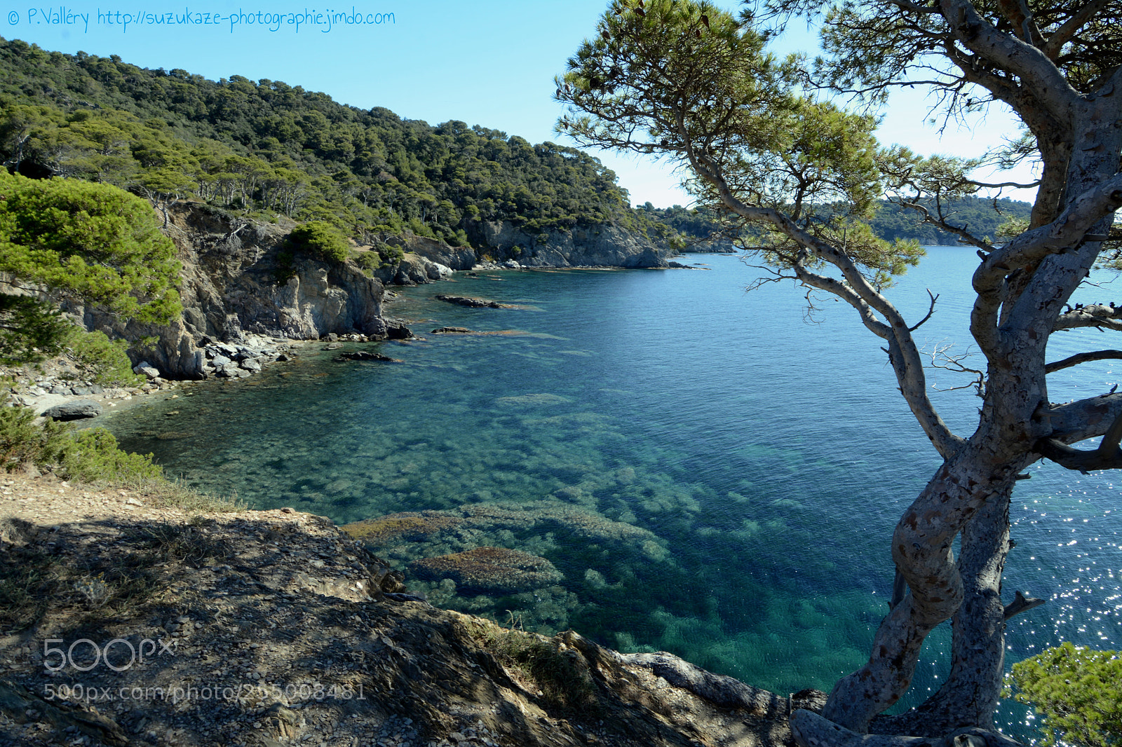 Nikon D7100 sample photo. Presqu' le de giens photography