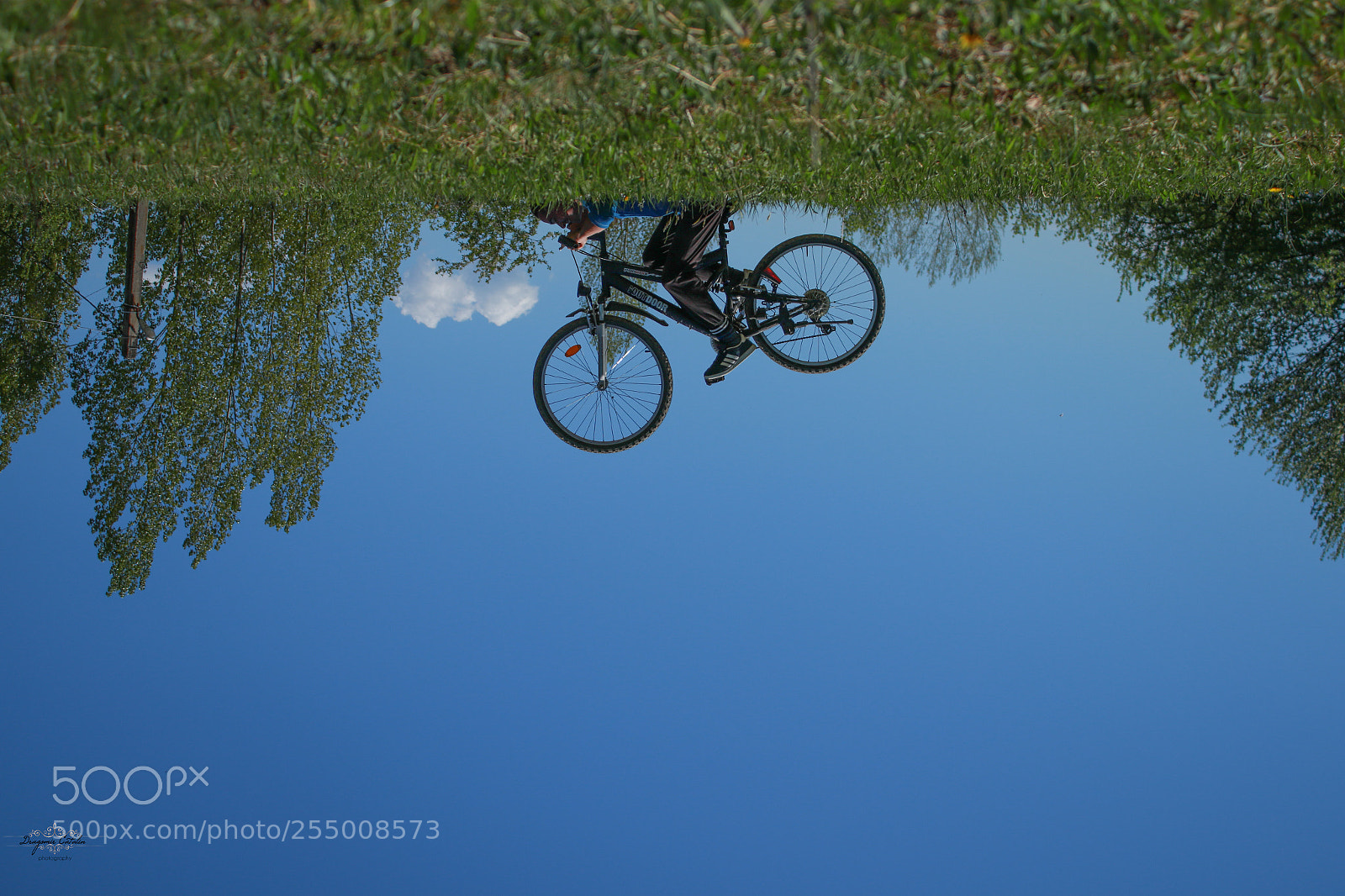 Canon EOS 7D Mark II sample photo. Untitled photography