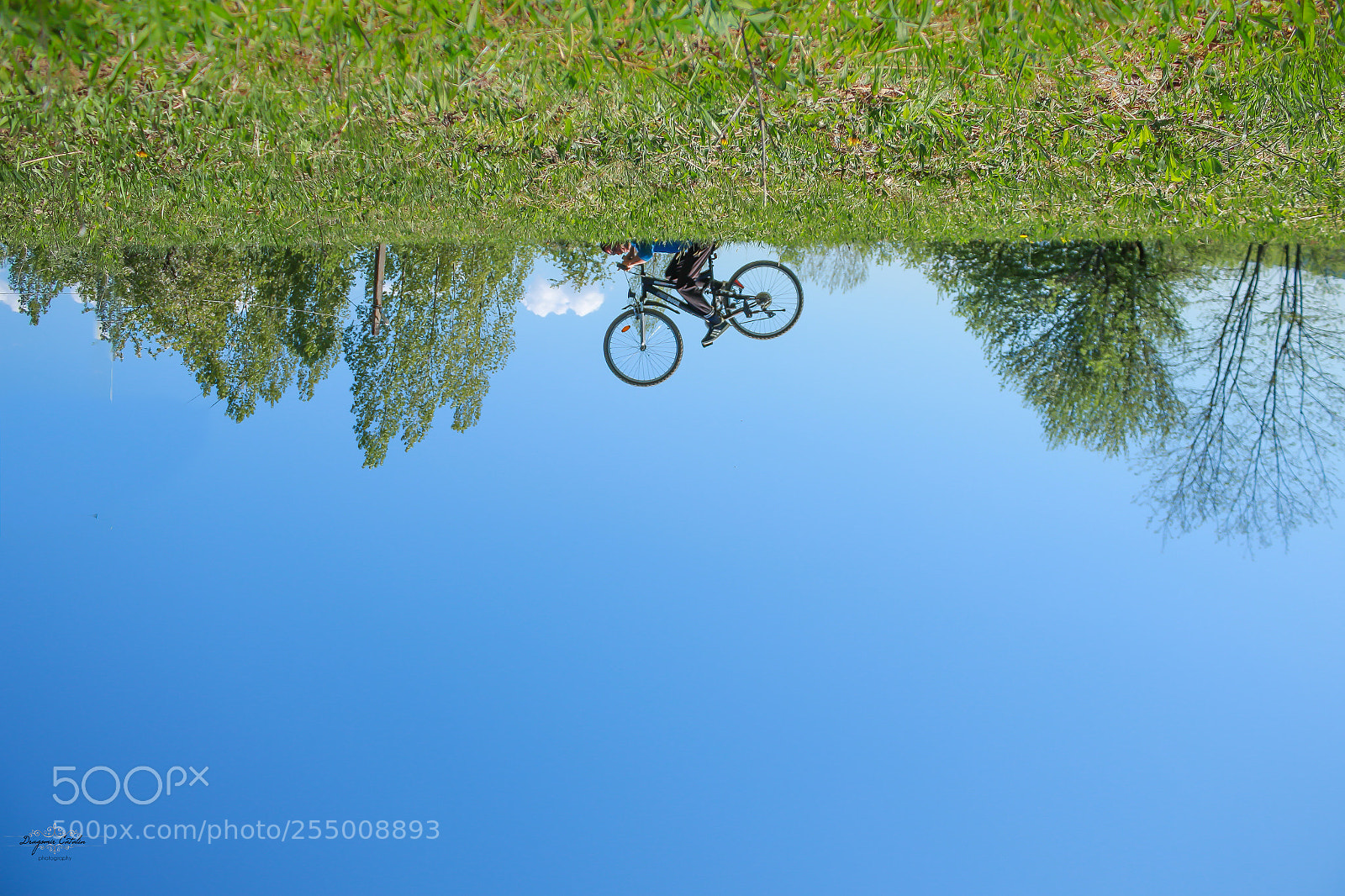 Canon EOS 7D Mark II sample photo. Upside down photography