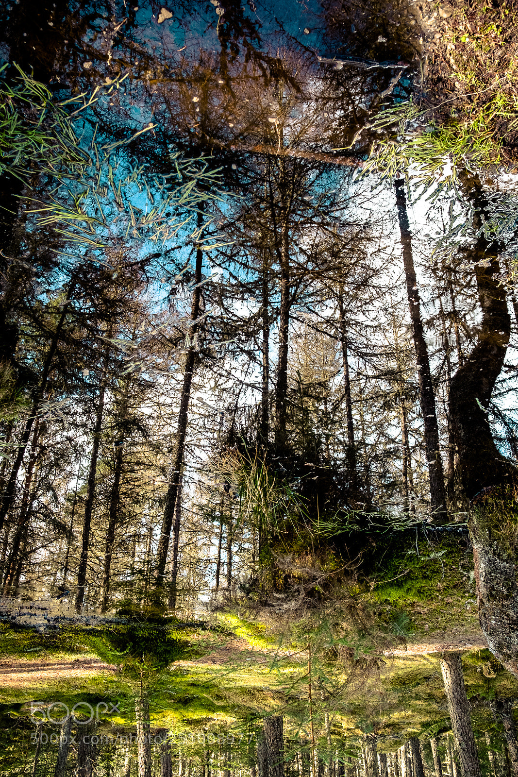 Fujifilm X-T2 sample photo. Scotland 2018, 2559 231 photography
