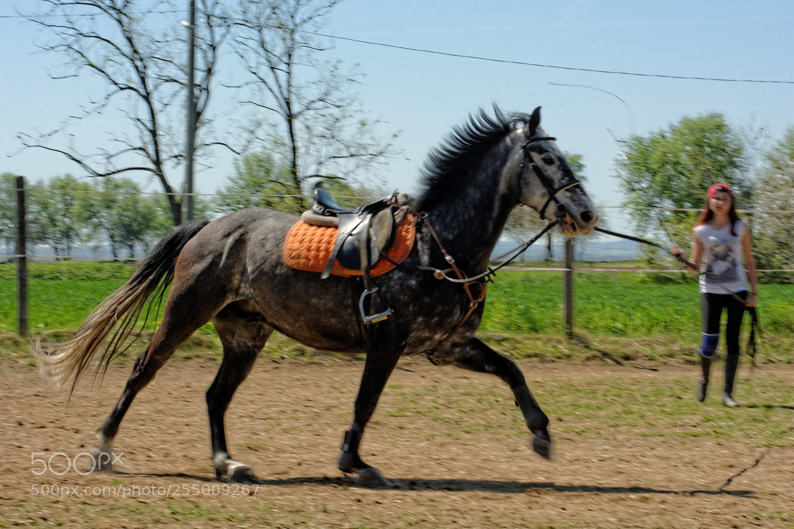 Nikon D7100 sample photo. Training photography