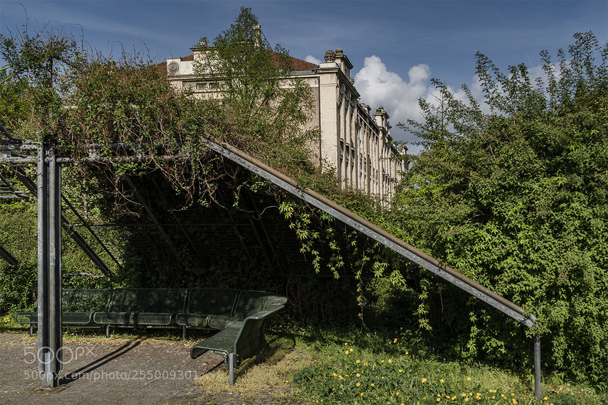 Sony a6300 sample photo. Reutlingen 240418-010 photography