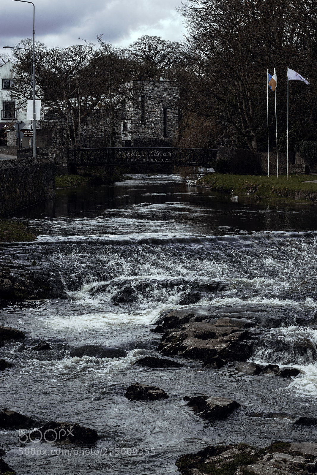 Canon EOS 80D sample photo. Bridge photography