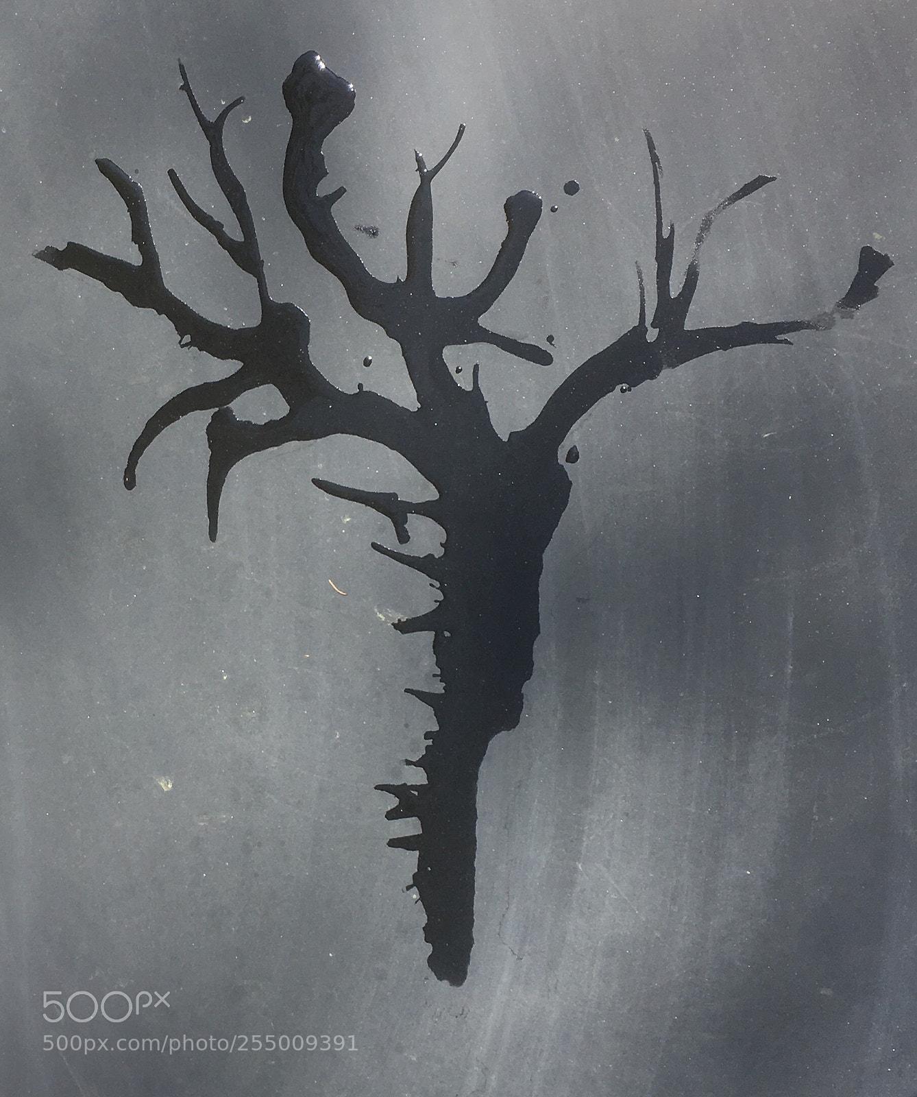 Apple iPhone SE sample photo. Drawing with water photography