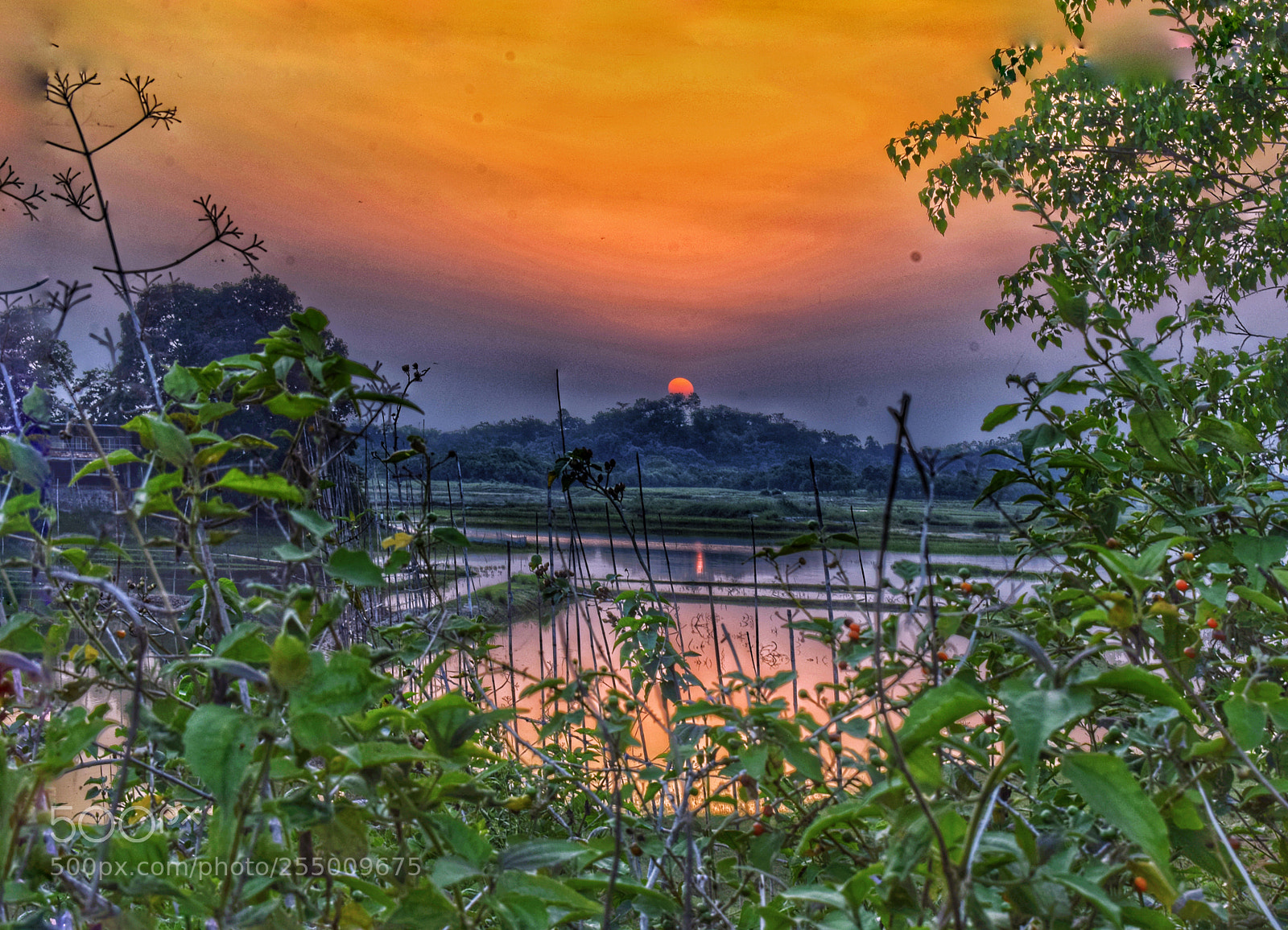 Nikon D3300 sample photo. Sunset photography
