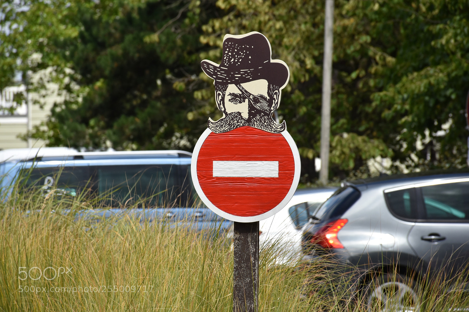 Nikon D7200 sample photo. Disneylandparis photography