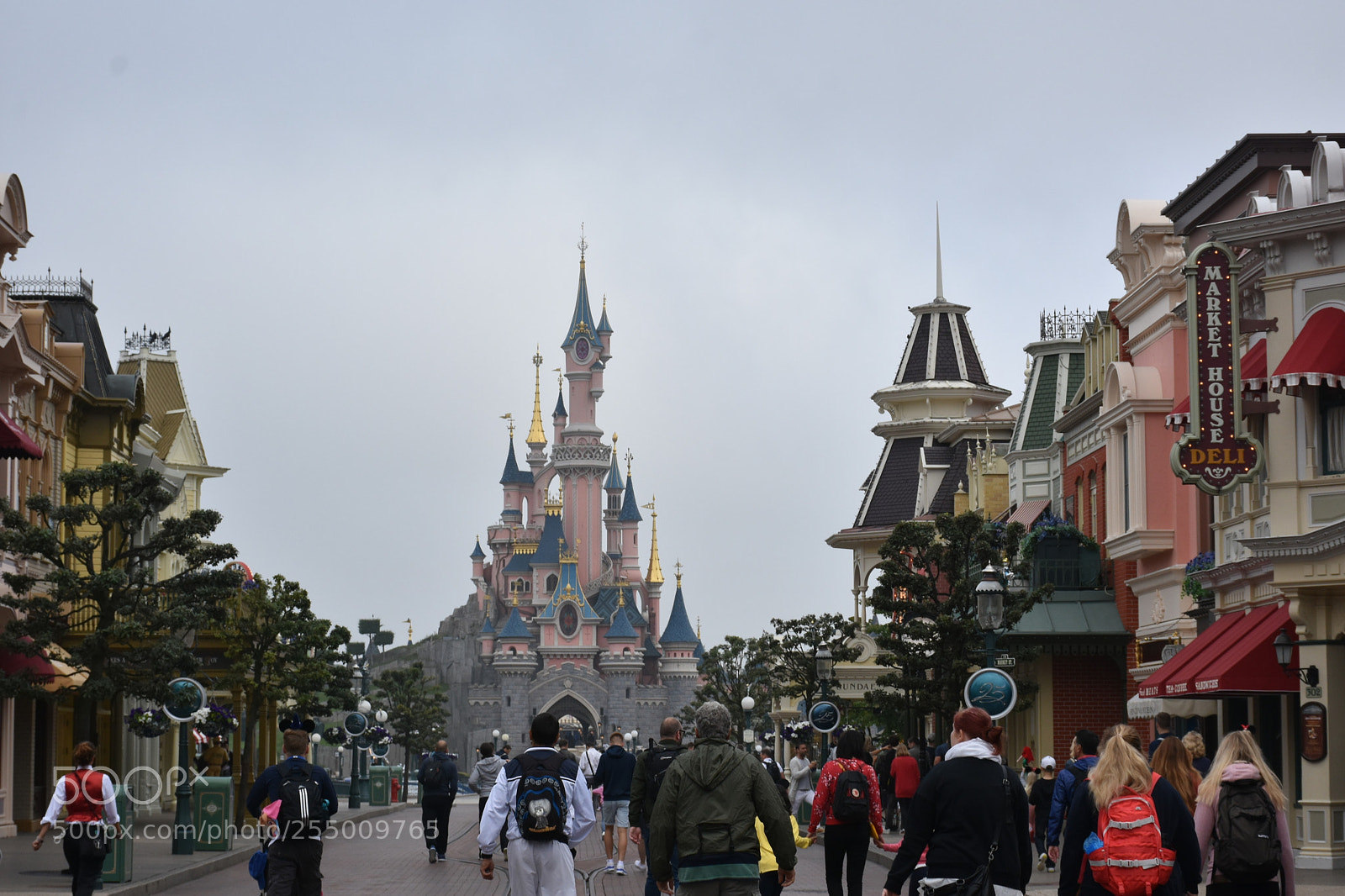Nikon D7200 sample photo. Disneylandparis photography