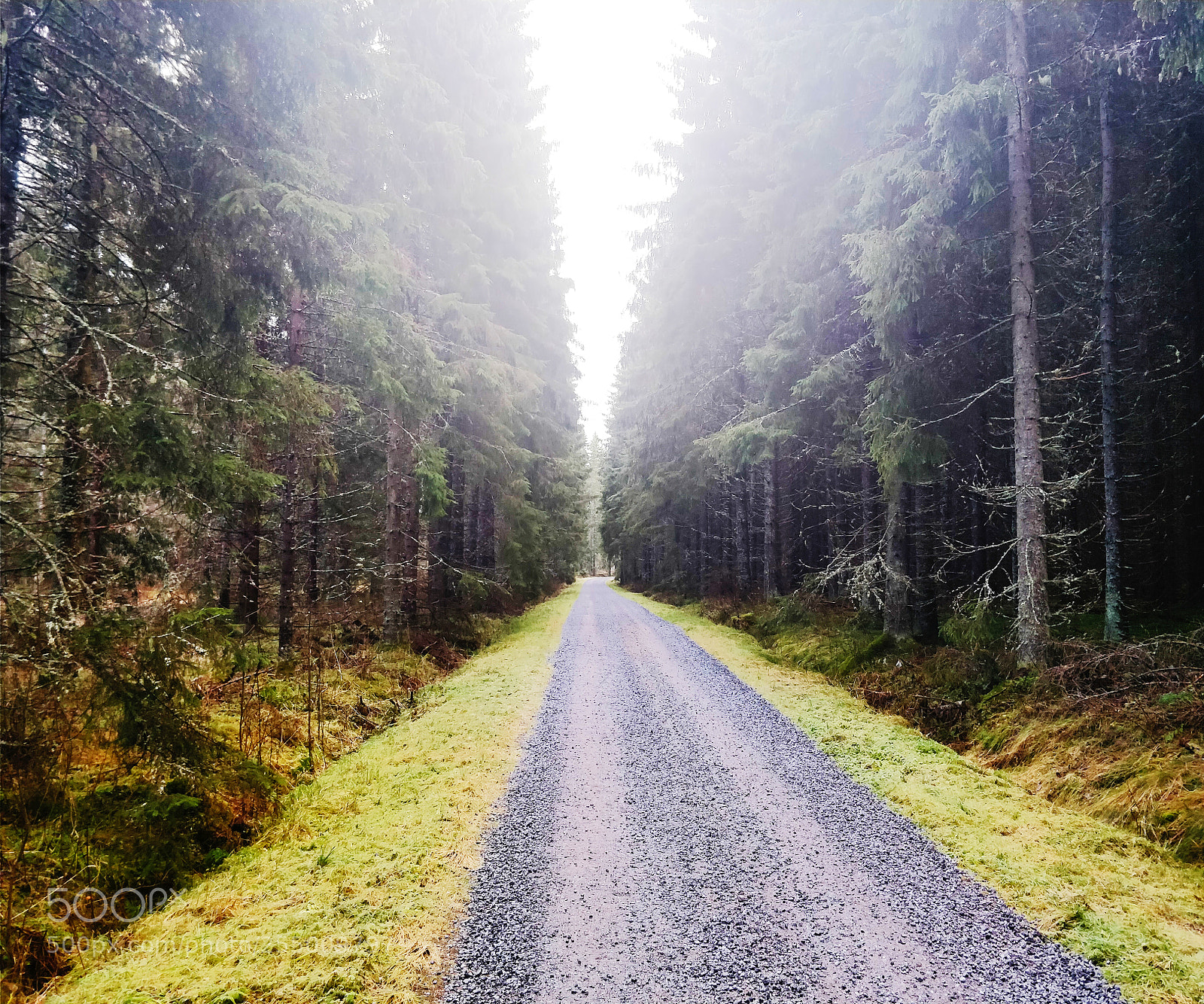 OnePlus 5 sample photo. The road to winter photography