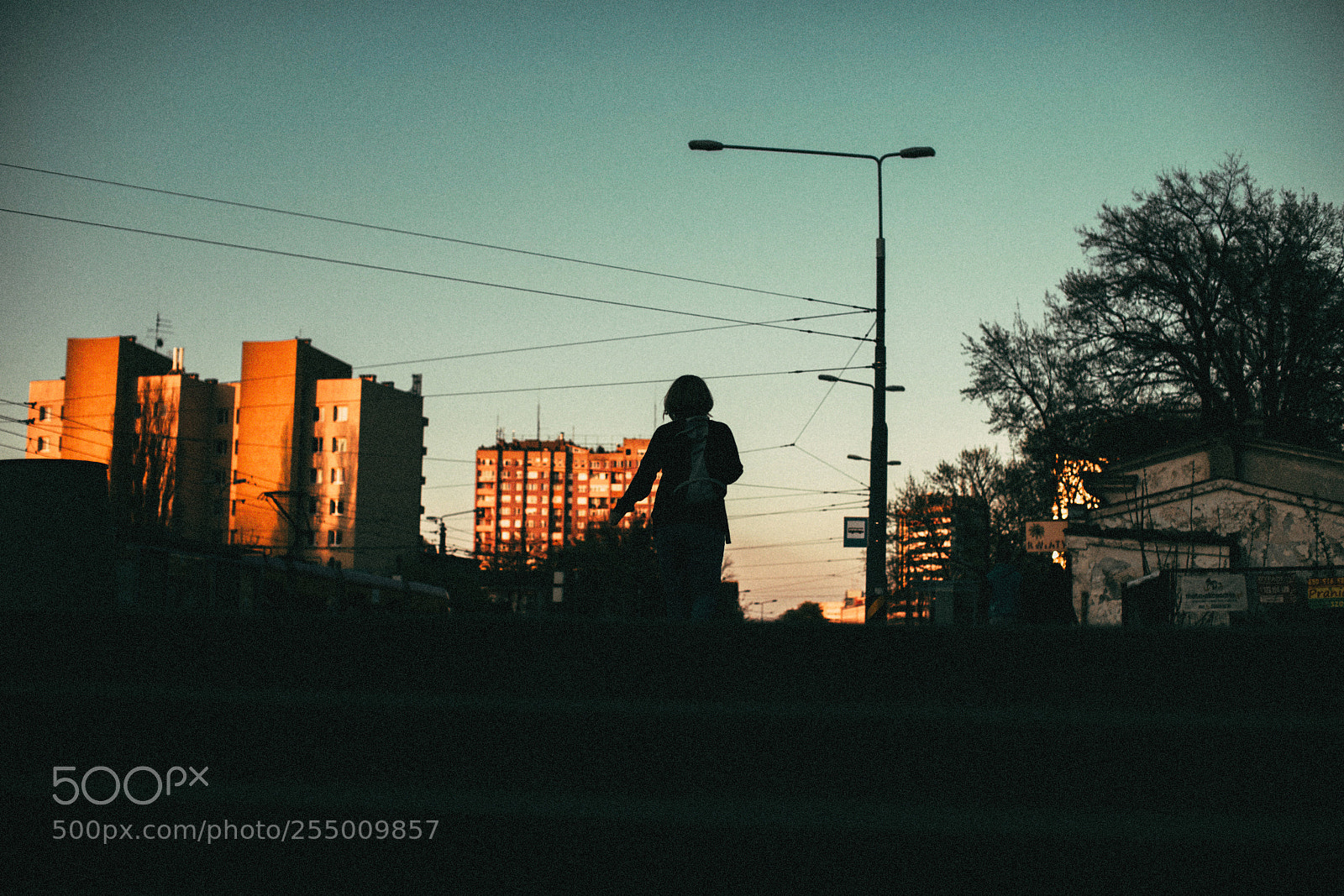 Canon EOS 6D Mark II sample photo. As evening arrives... photography