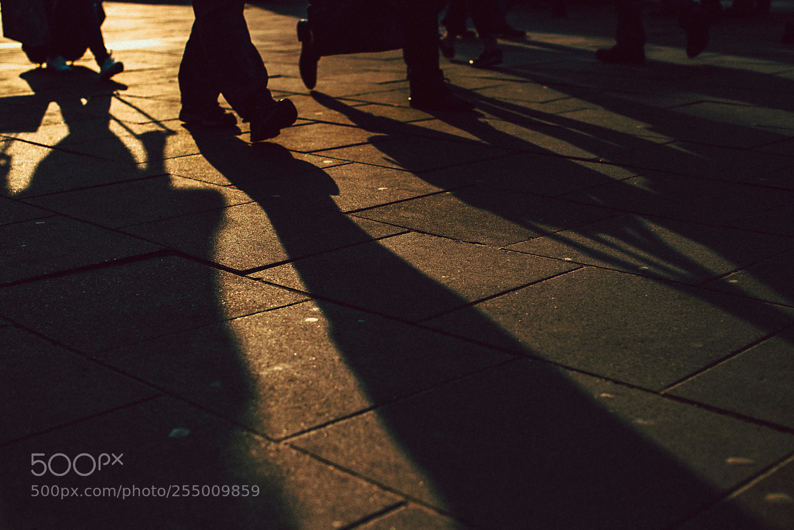 Canon EOS 6D Mark II sample photo. Work force photography