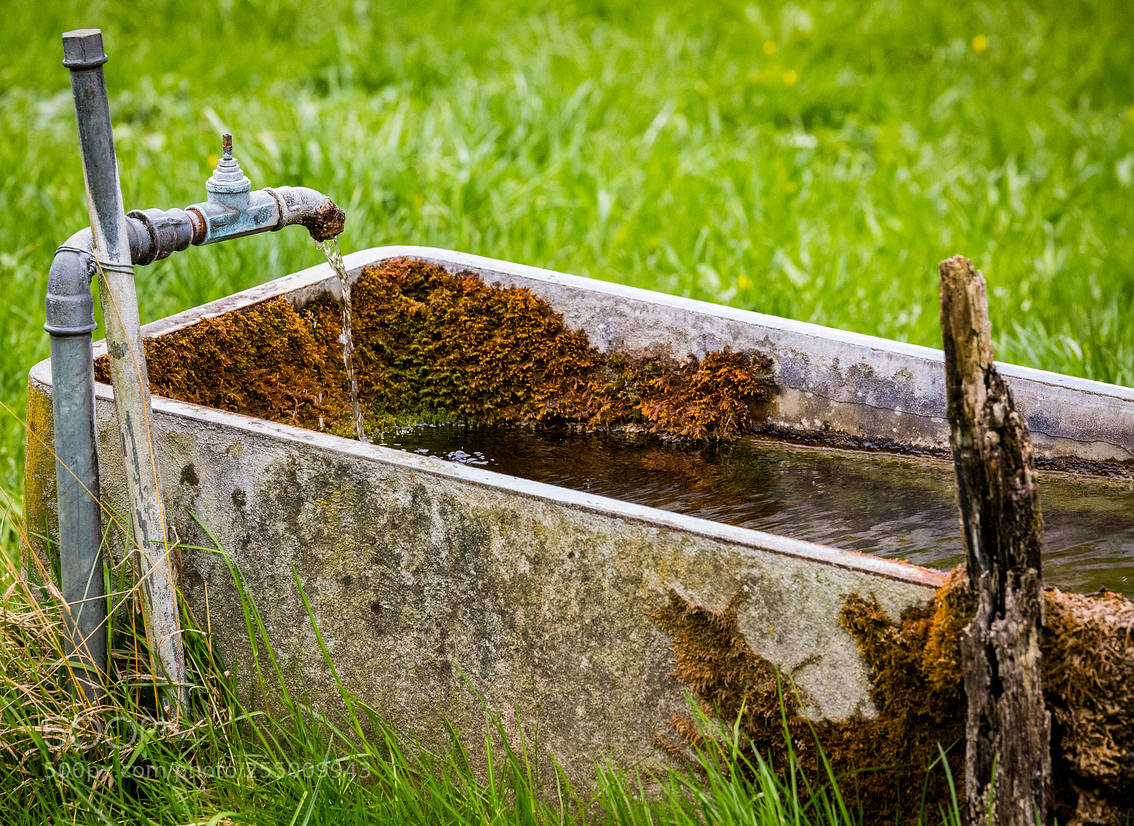 Canon EOS 6D Mark II sample photo. Farm fountain in the photography