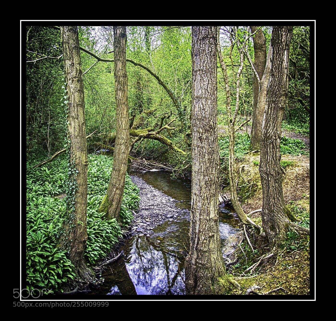 Olympus PEN E-PL5 sample photo. The brook photography