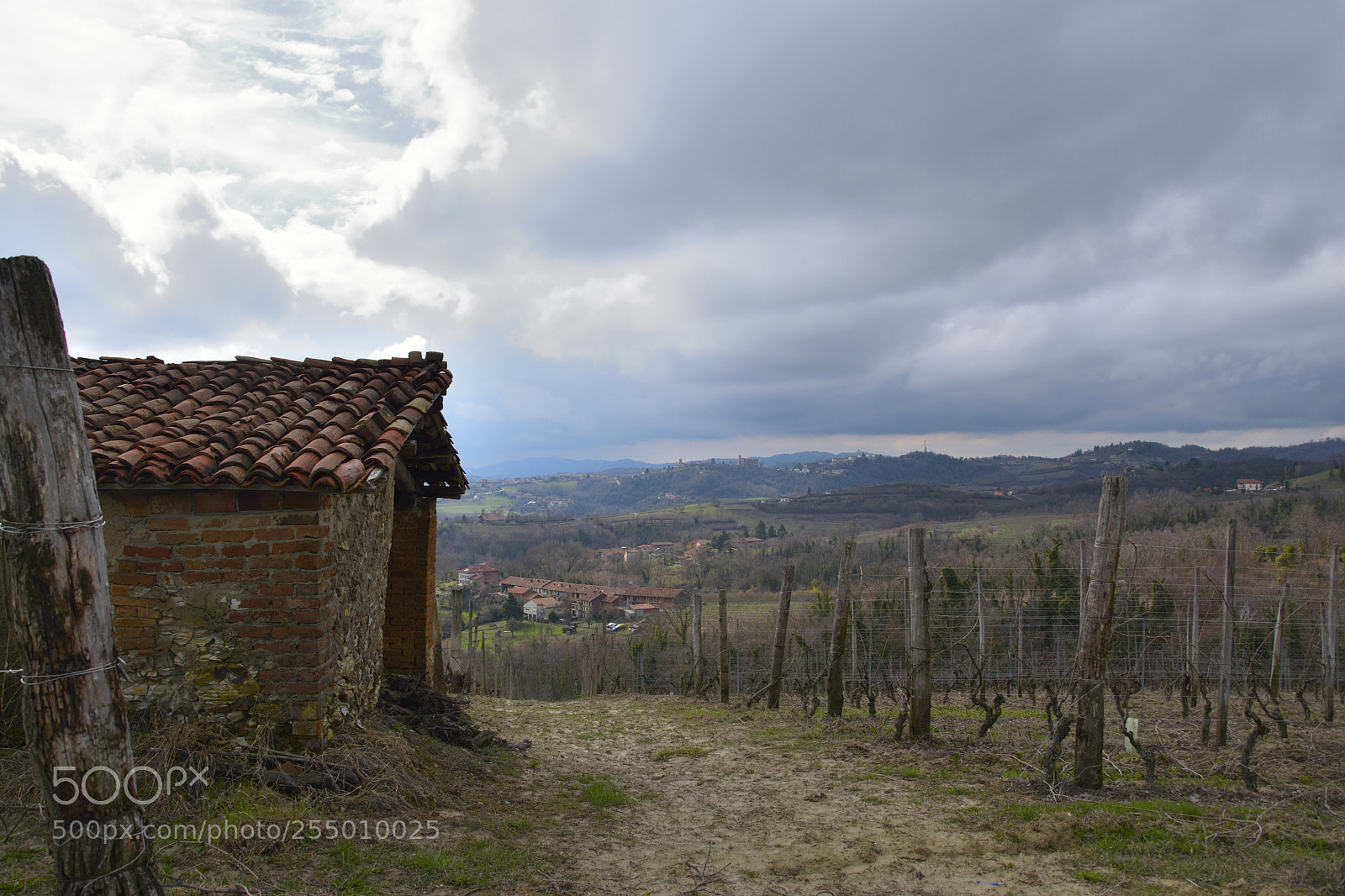 Nikon D3300 sample photo. Barbera field photography