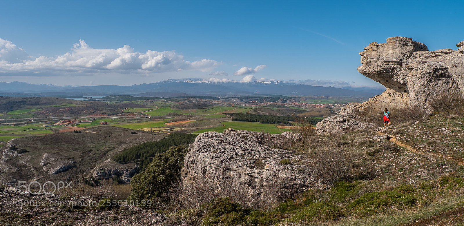 Fujifilm X-T2 sample photo. Las tuerces photography