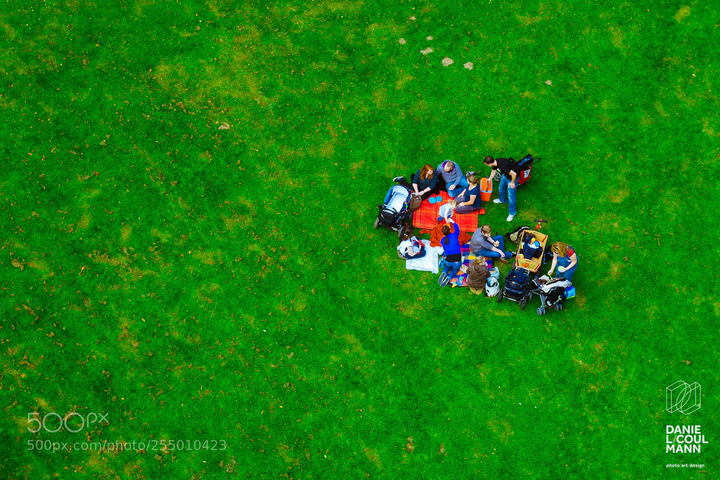 Nikon D3100 sample photo. Picnic on the grass photography