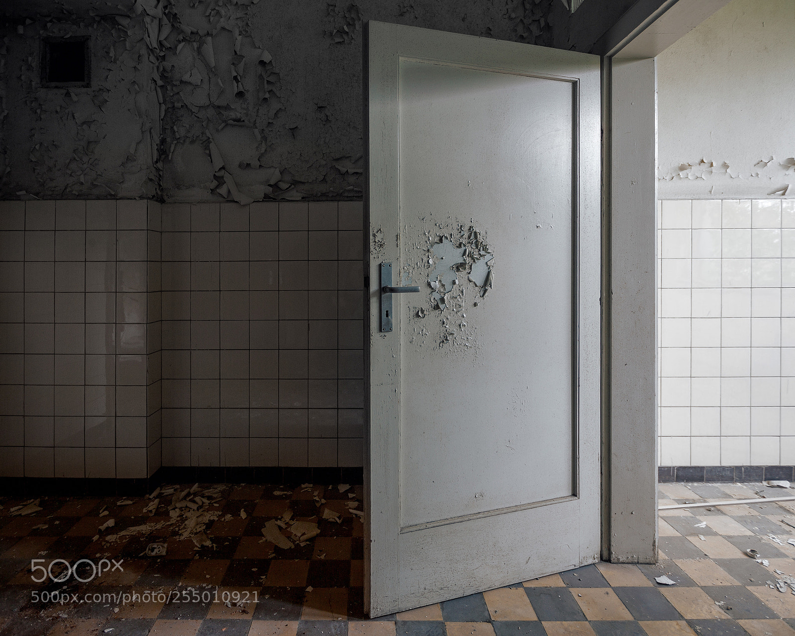 Canon EOS 5D Mark II sample photo. Rework photography