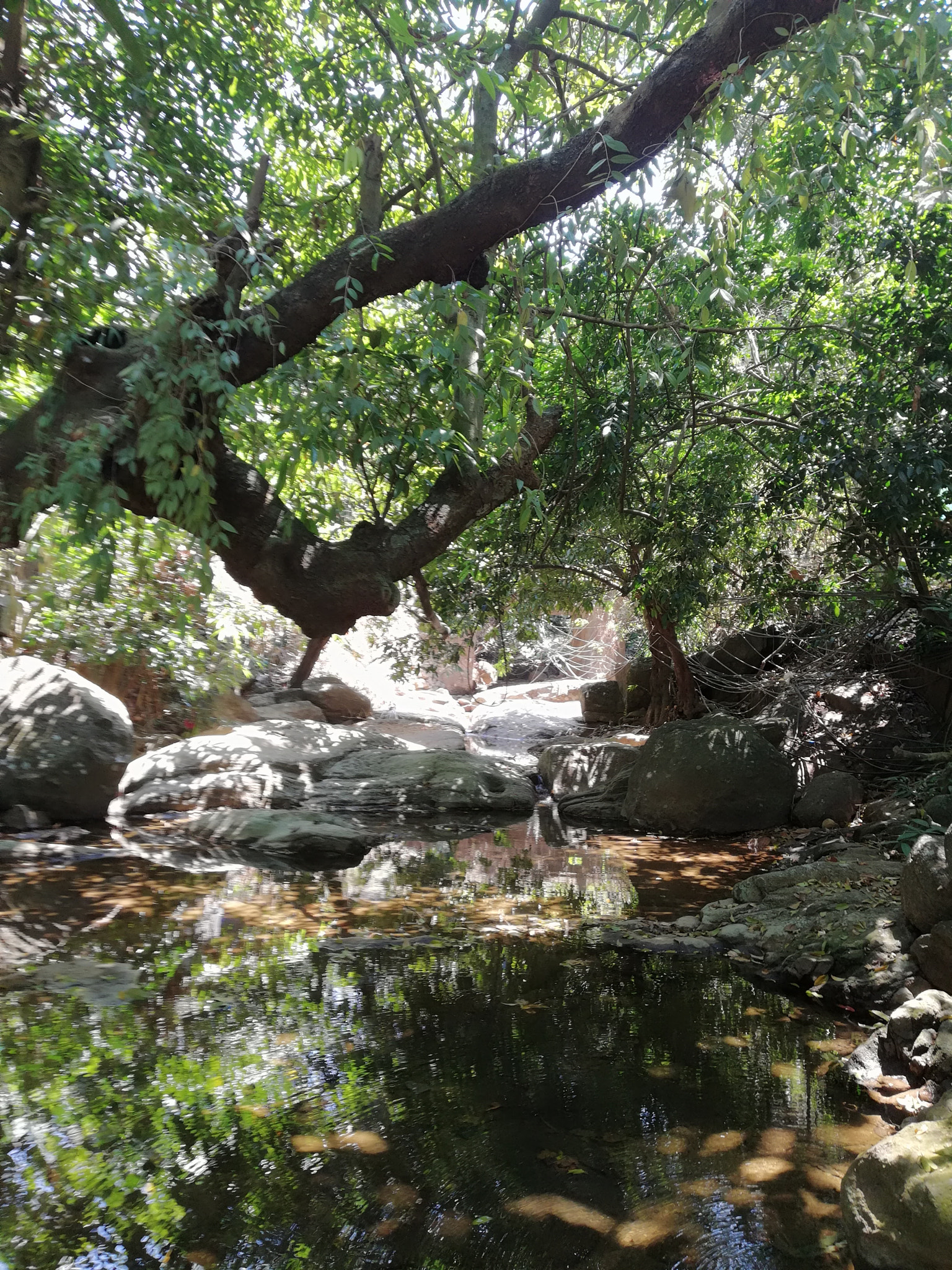 HUAWEI nova 2i sample photo. Natural stream photography