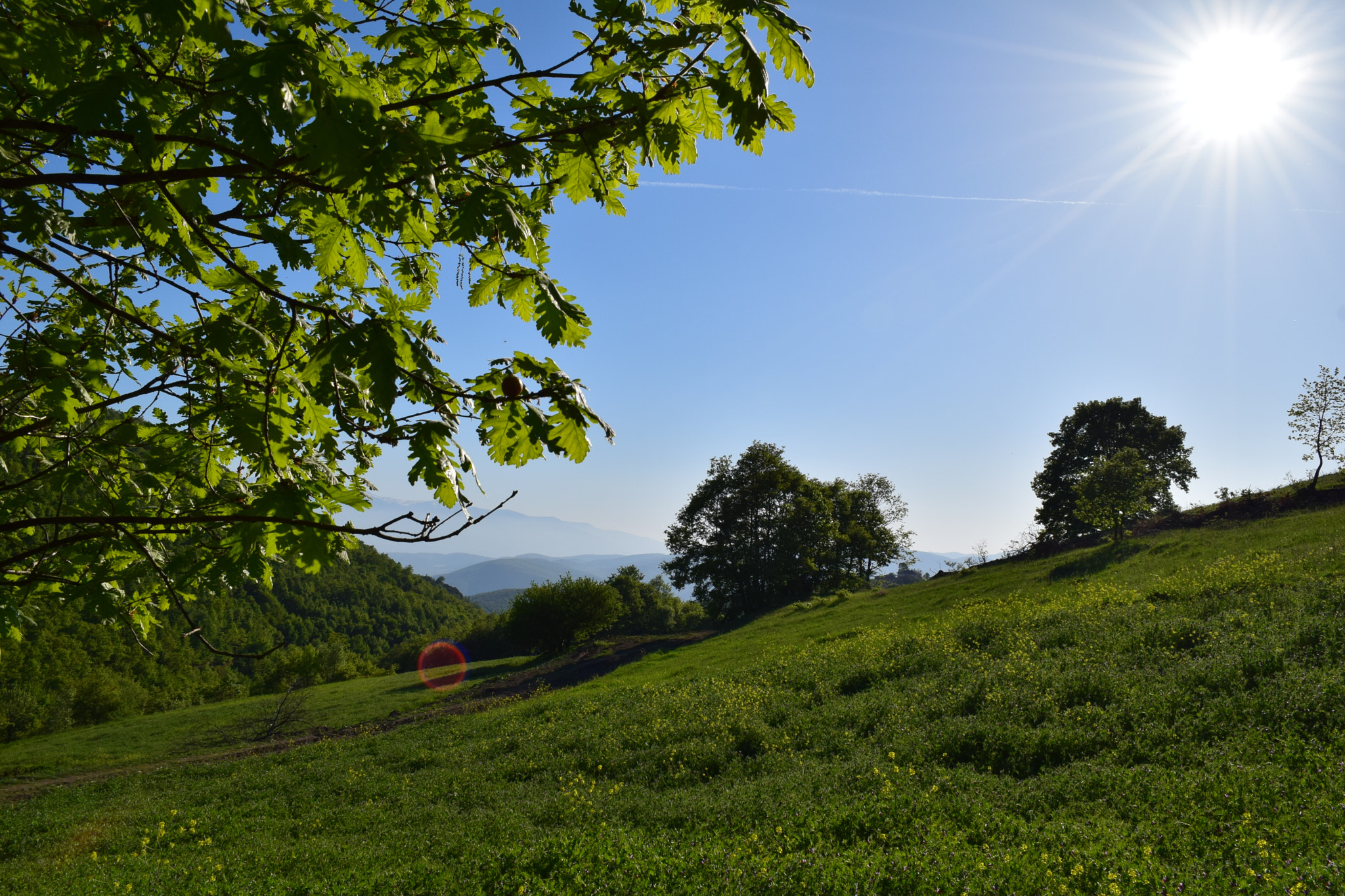 Nikon D5300 sample photo. .. photography