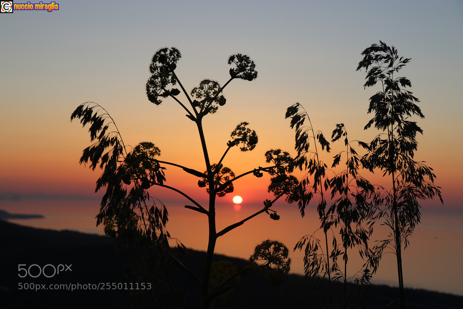 Canon EOS 80D sample photo. E solo un tramonto photography
