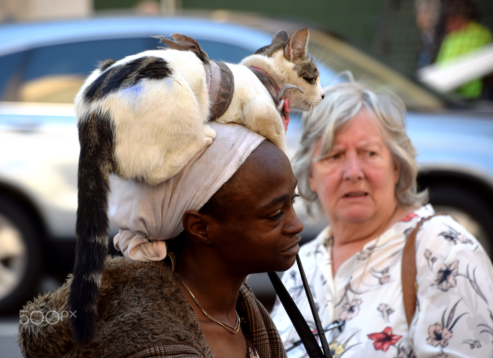 Nikon D5300 + Nikon AF-S DX Nikkor 18-300mm F3.5-6.3G ED VR sample photo. Woman with cat on head, union square, san francisc photography