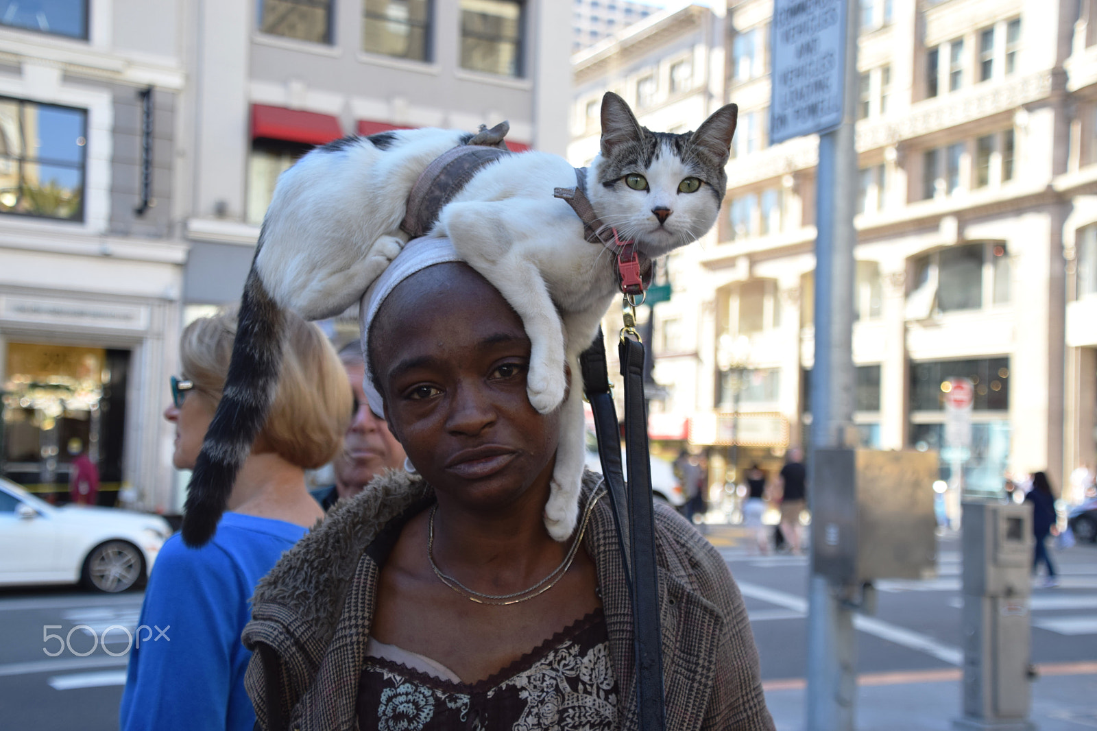 Nikon D5300 + Nikon AF-S DX Nikkor 18-300mm F3.5-6.3G ED VR sample photo. Woman with cat on head, union square, san francisc photography