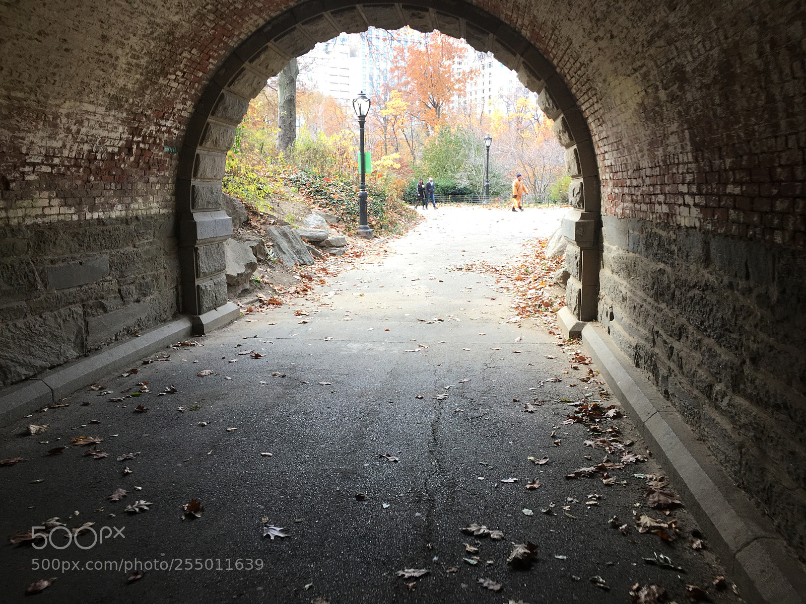 Apple iPhone 6s Plus sample photo. Central park tunnel photography