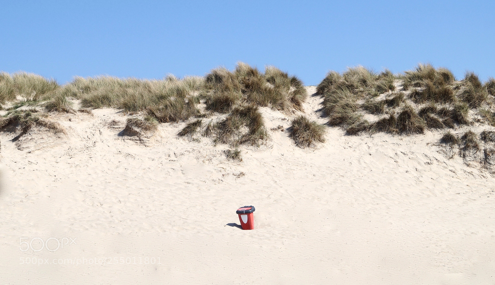 Sony SLT-A58 sample photo. Newquay photography