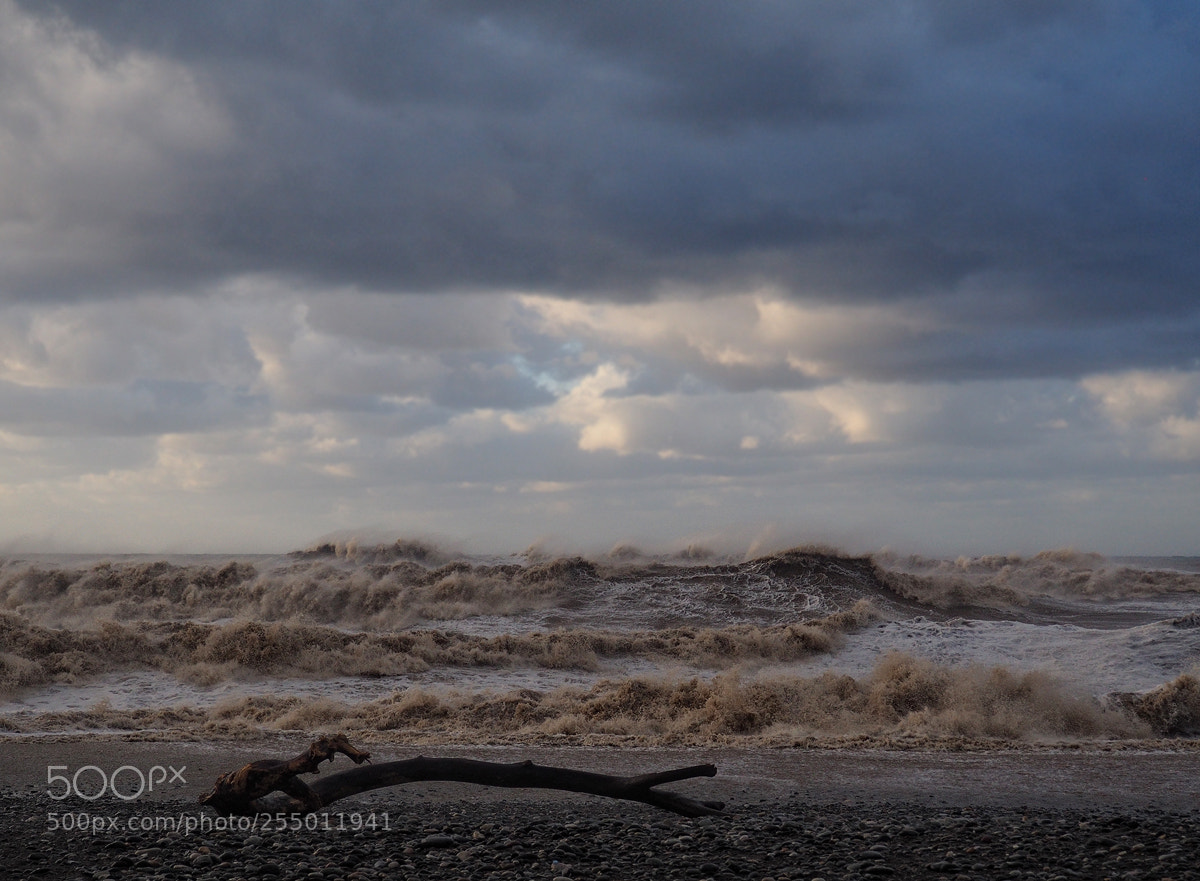 Olympus OM-D E-M10 sample photo. Black sea. photography
