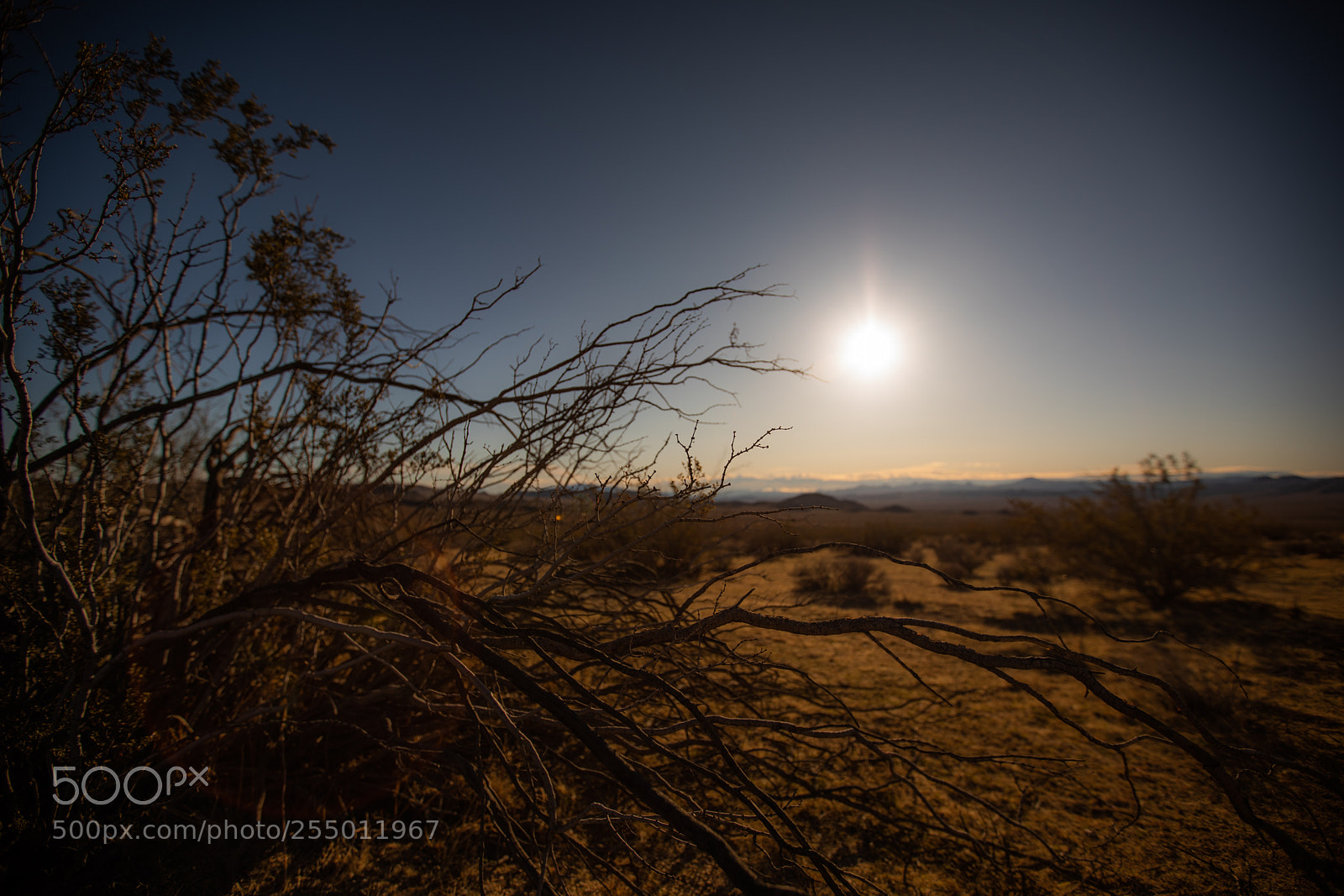 Canon EOS 5D Mark IV sample photo. Trona pinnacles photography