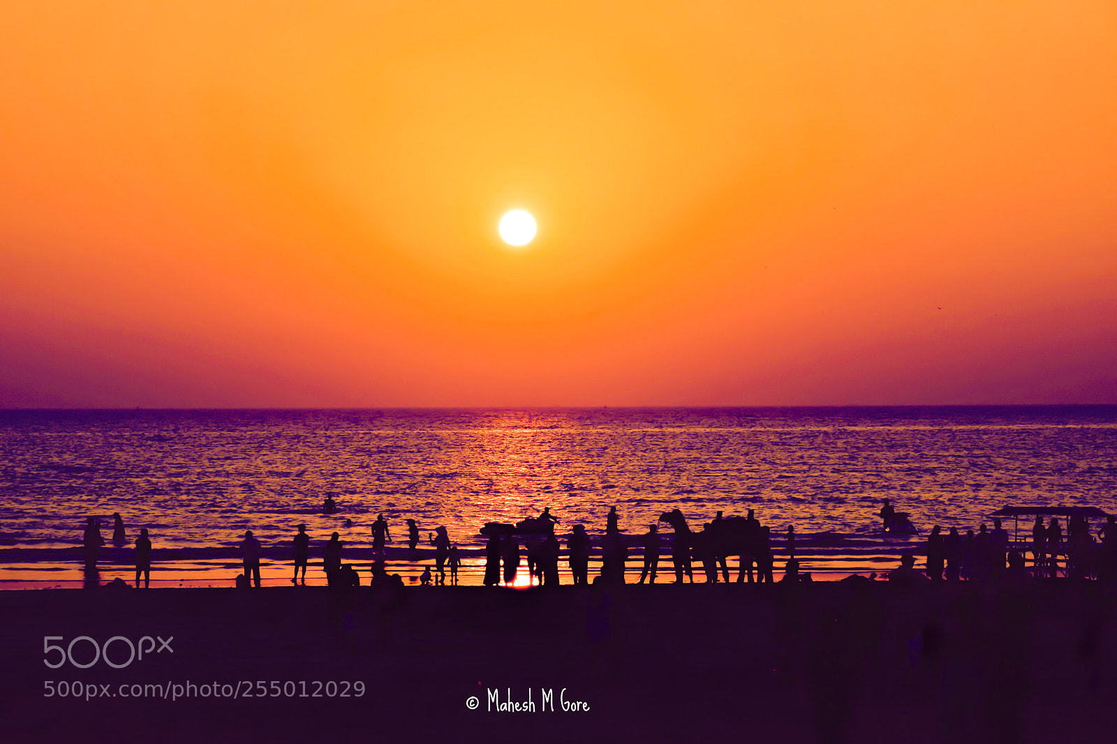 Nikon D5300 sample photo. The beach photography