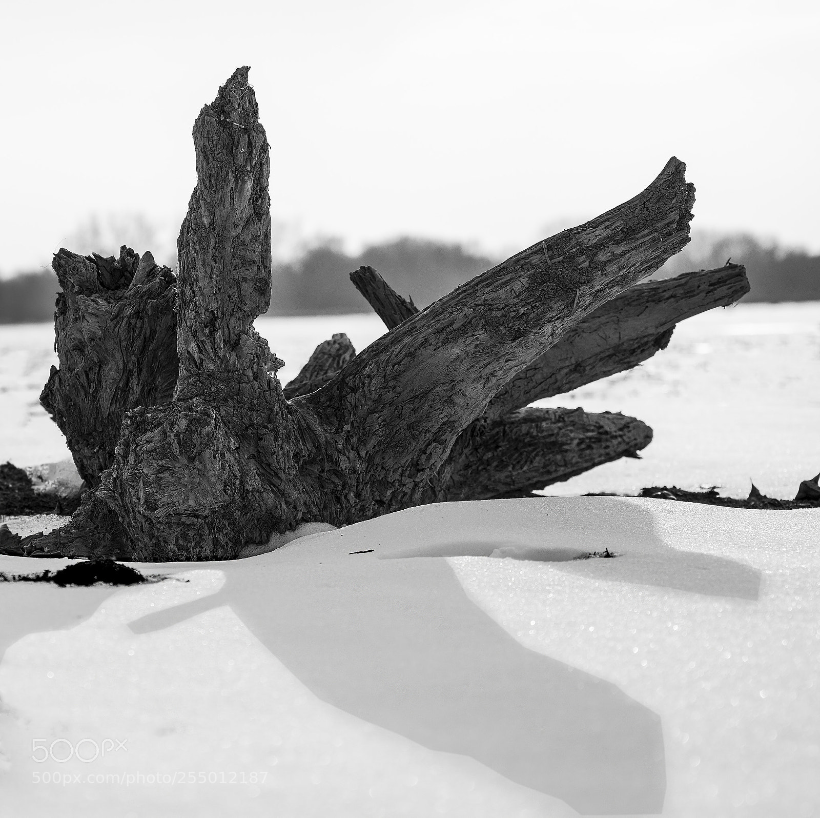 Nikon D3300 sample photo. Untitled photography